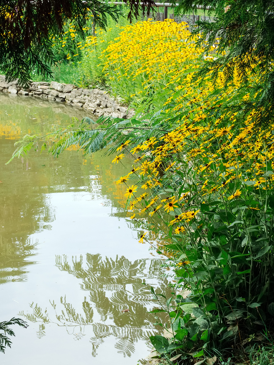 河边春景：一幅美丽的春天画卷