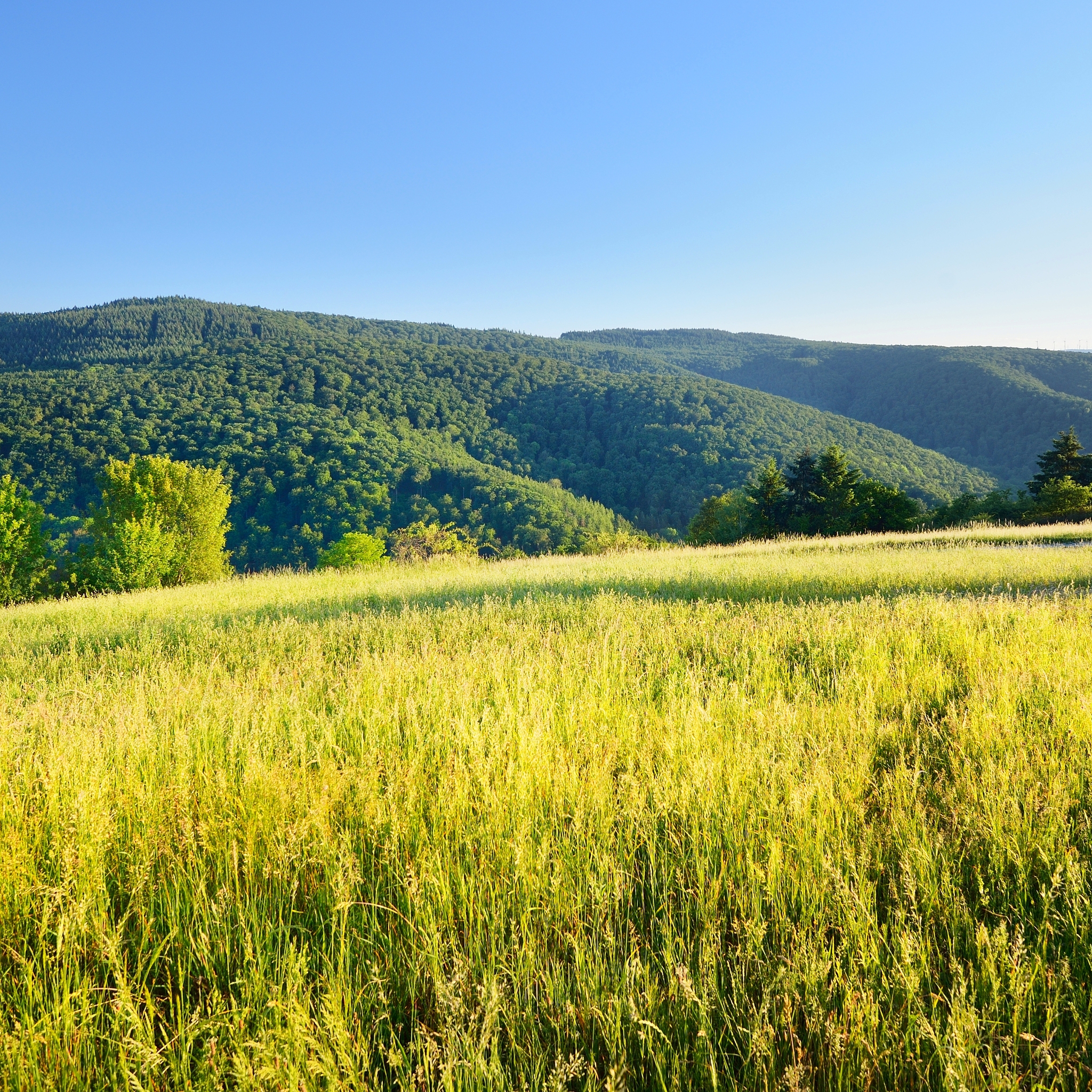 农业与森林气象学期刊：研究内容概述