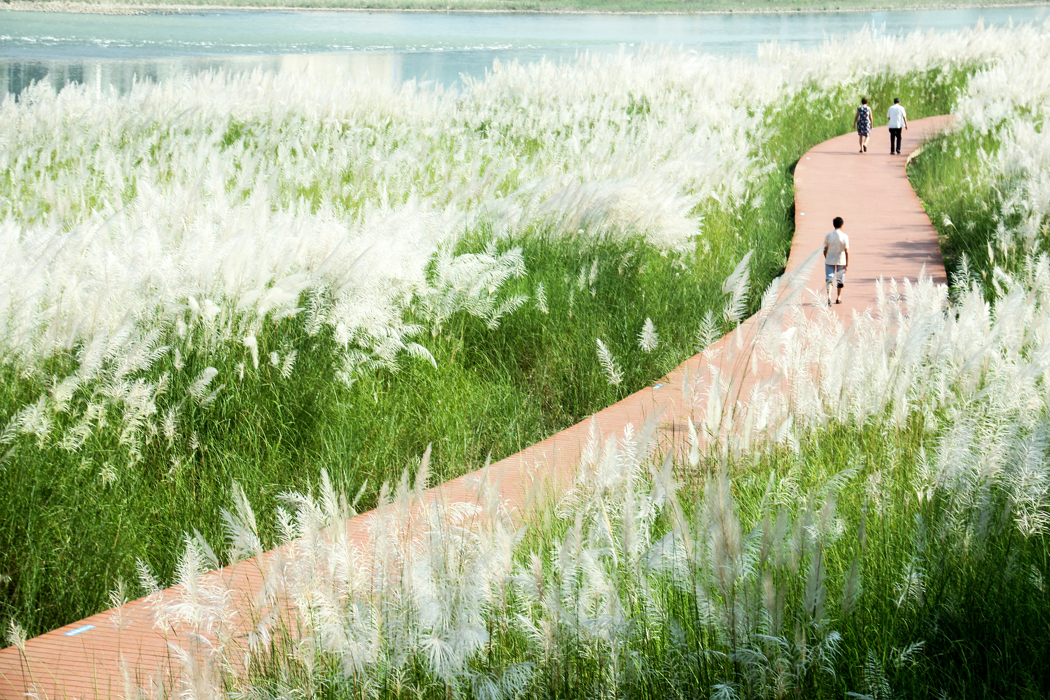 广元职业学校排名 值得你去选择