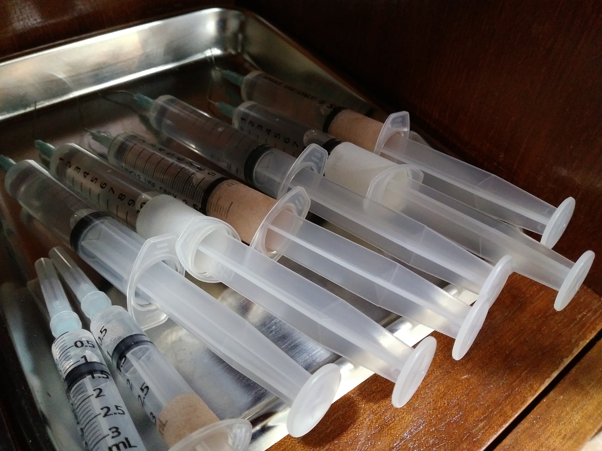 铁岭卫生职业学院口腔医学技术专业就业前景分析 - 未来发展趋势