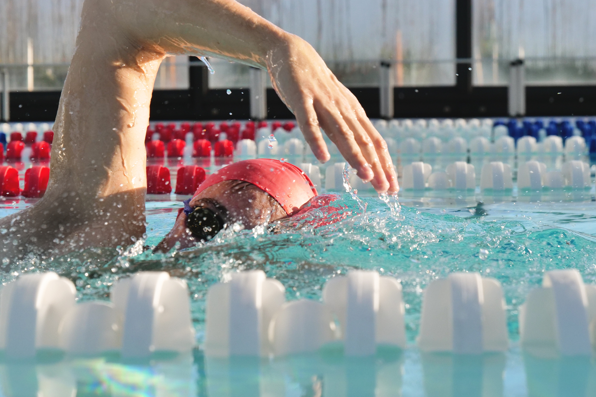 a professional swimmer trains with effort and dedication to win 