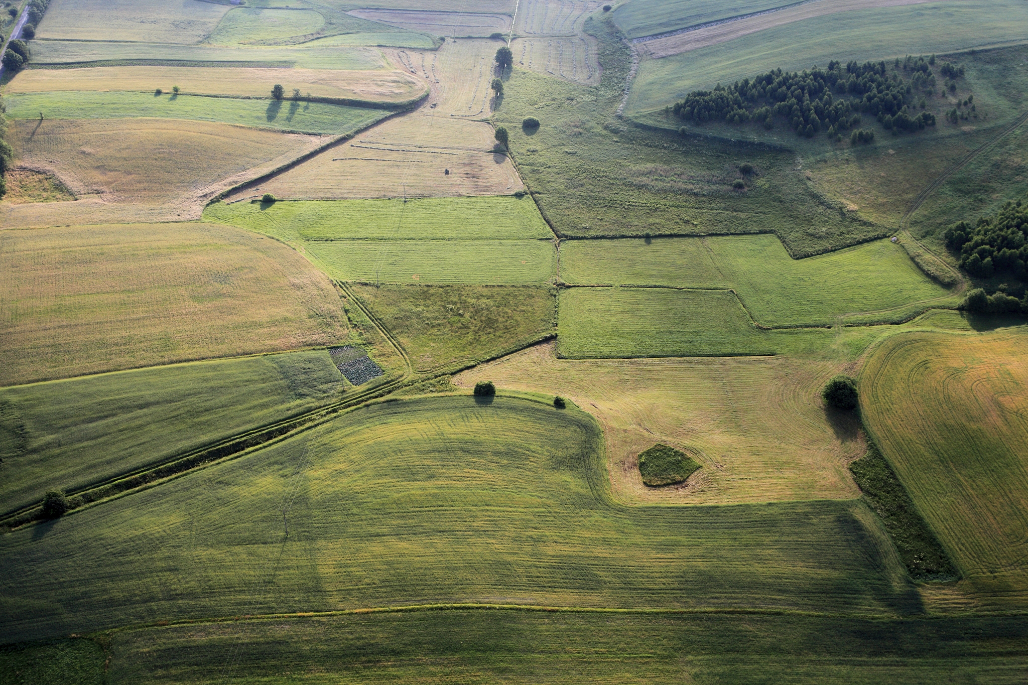 aerial photo of farmland