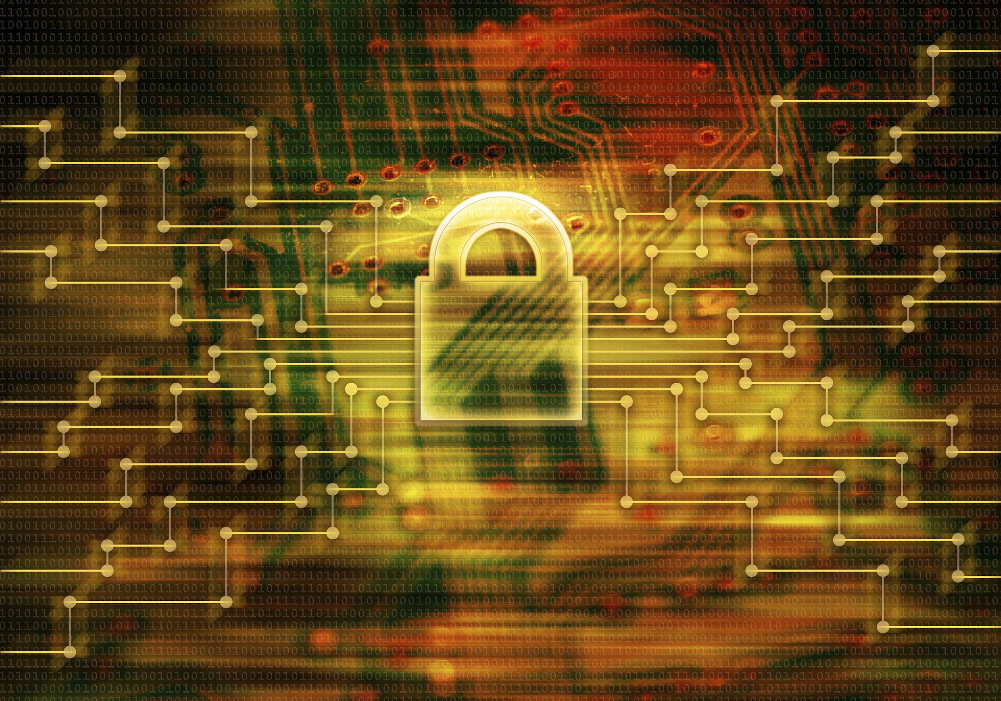 firewall - network security