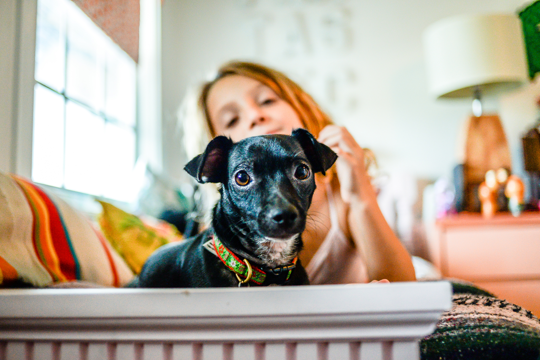 对计划养宠物的人来说他们有什么样的顾虑？该怎么解决？