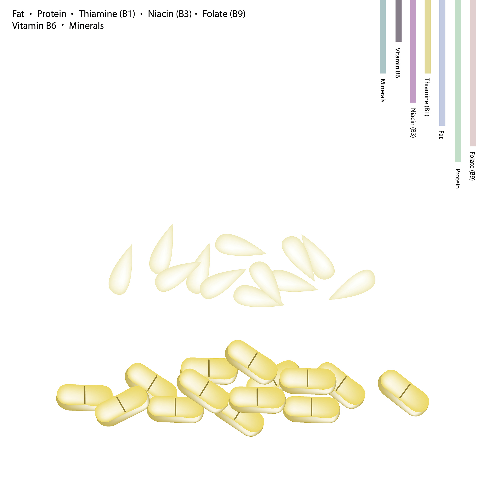 人体的代谢功能有哪些