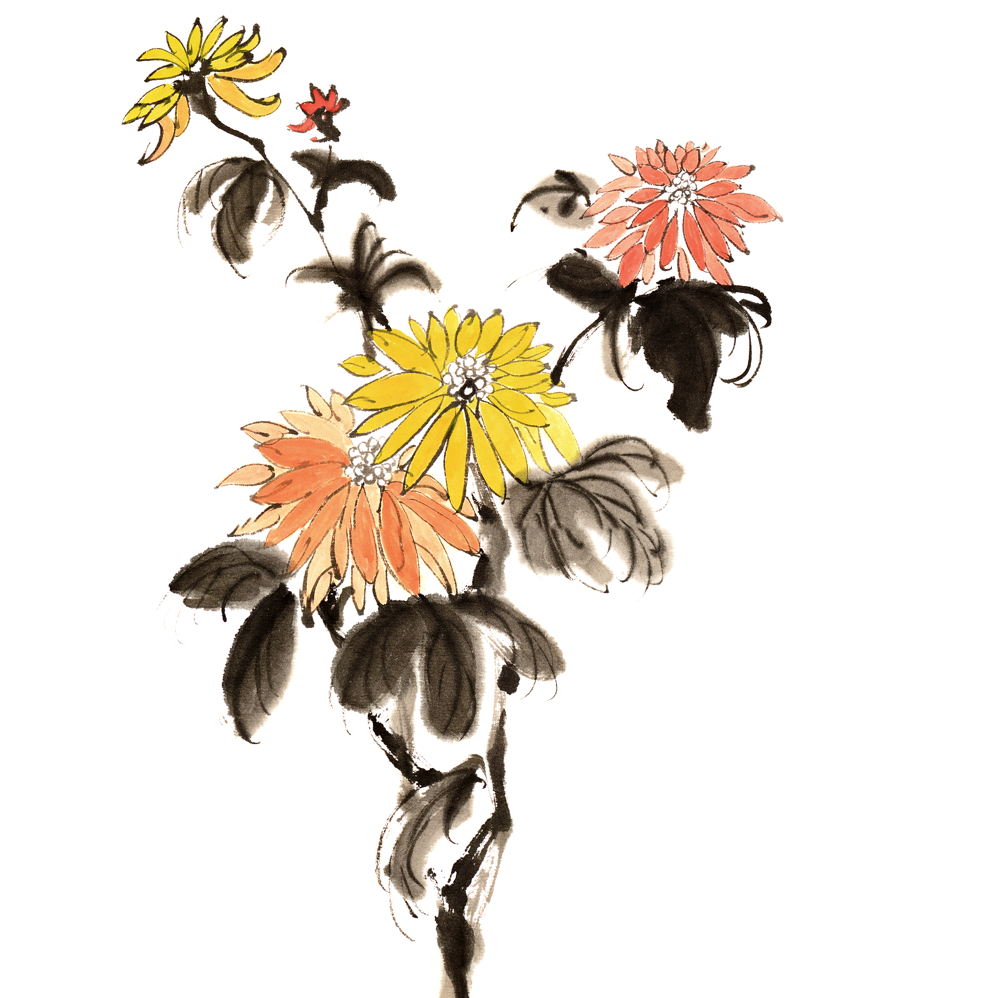 乌鲁木齐职业大学旅游日语专业就业方向：未来职业发展指南