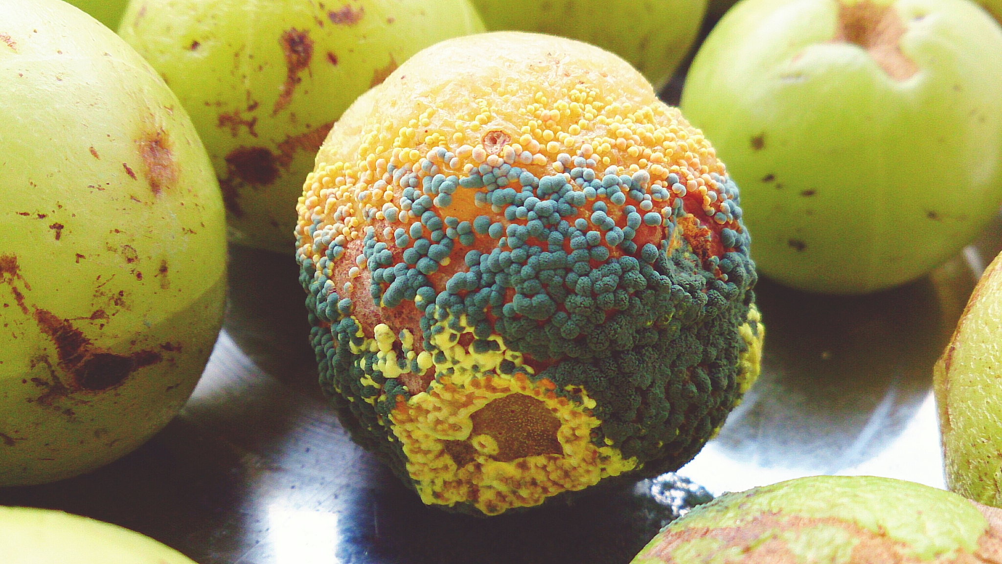 以三年级小明的口吻今天我拉肚子了为开头写一篇日记讲述一天在学校上课请假拉肚子10几次的经历