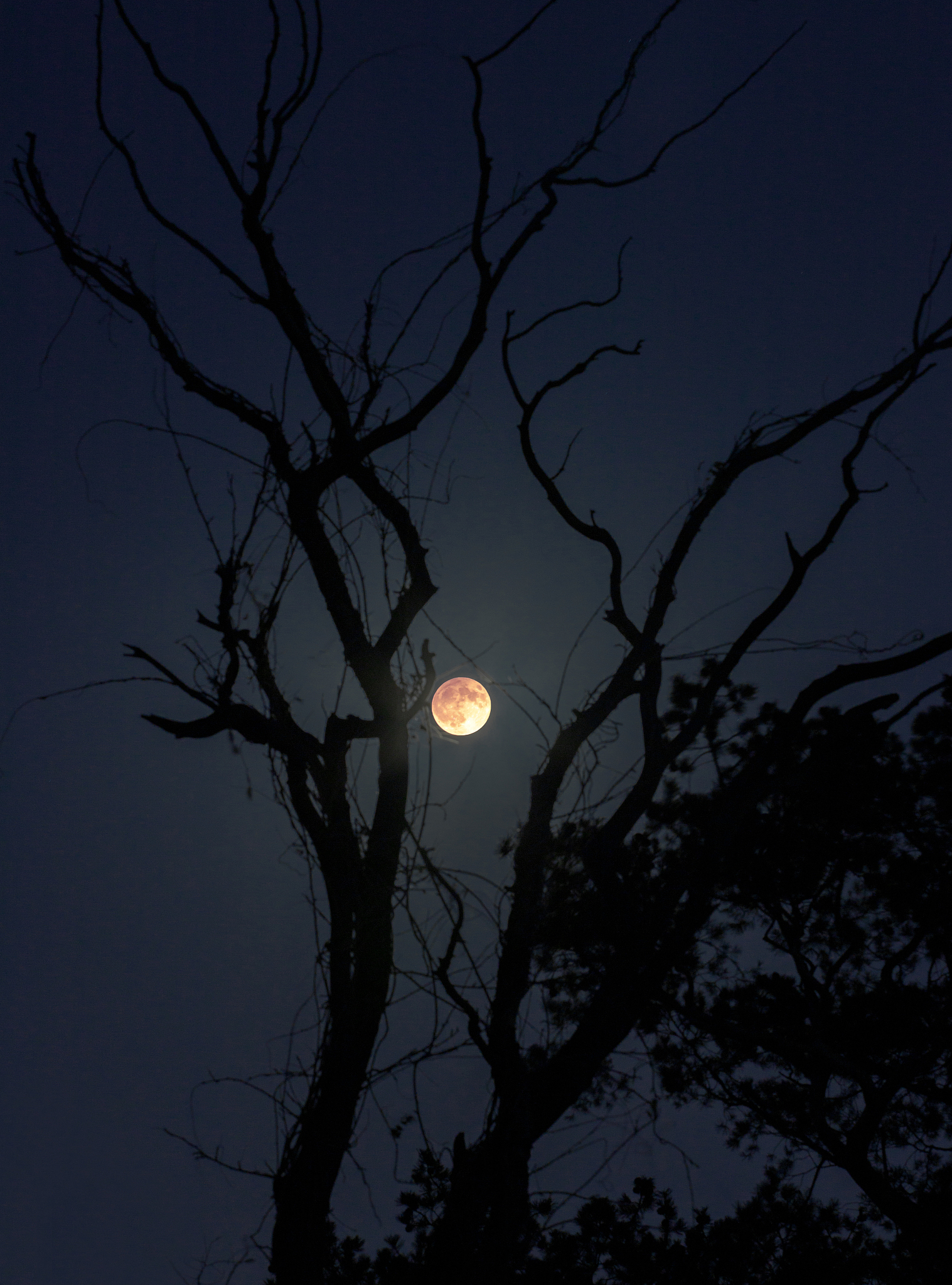 尝试写一首八句每句七字的古诗来描绘一个月圆夜晚的宁静与深邃？充分利用诗词的音韵和词藻呈现出月夜带给人的静谧与思考同时添加一些人物情感的渲染。要有古诗的韵律不能出现白话文。