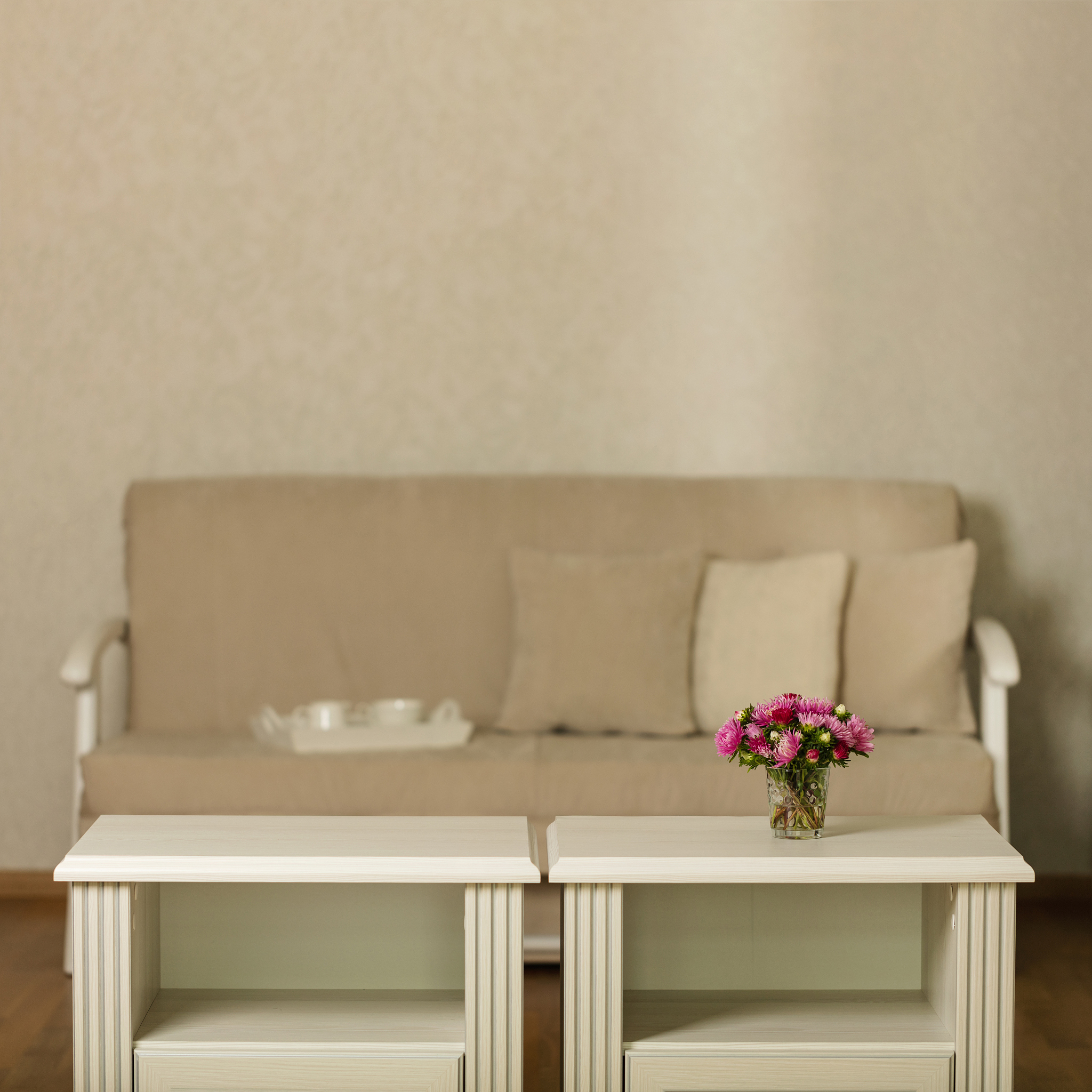beige sofa with pillows in the living room and vase with flowers