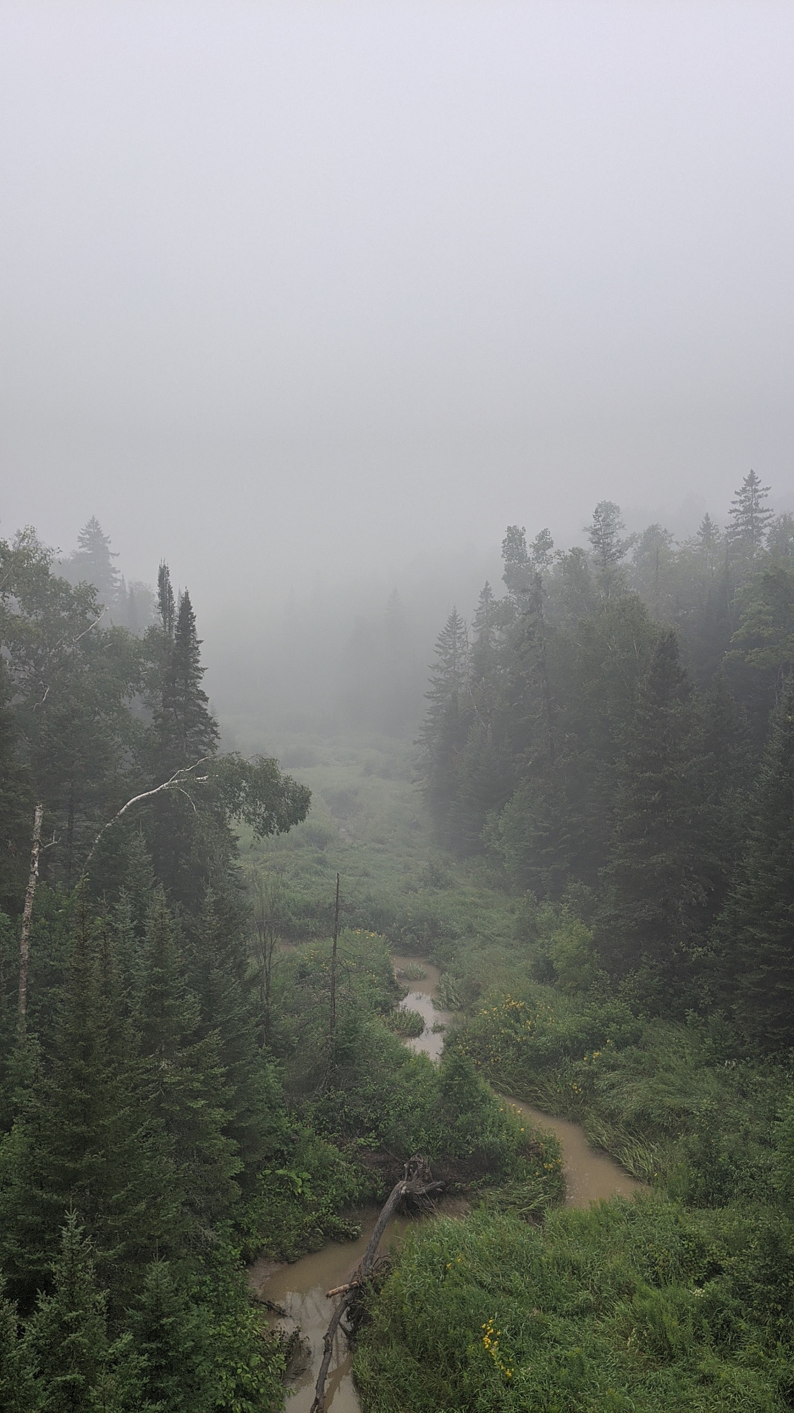 重庆江南职业学校药剂有3+2五年制大专吗