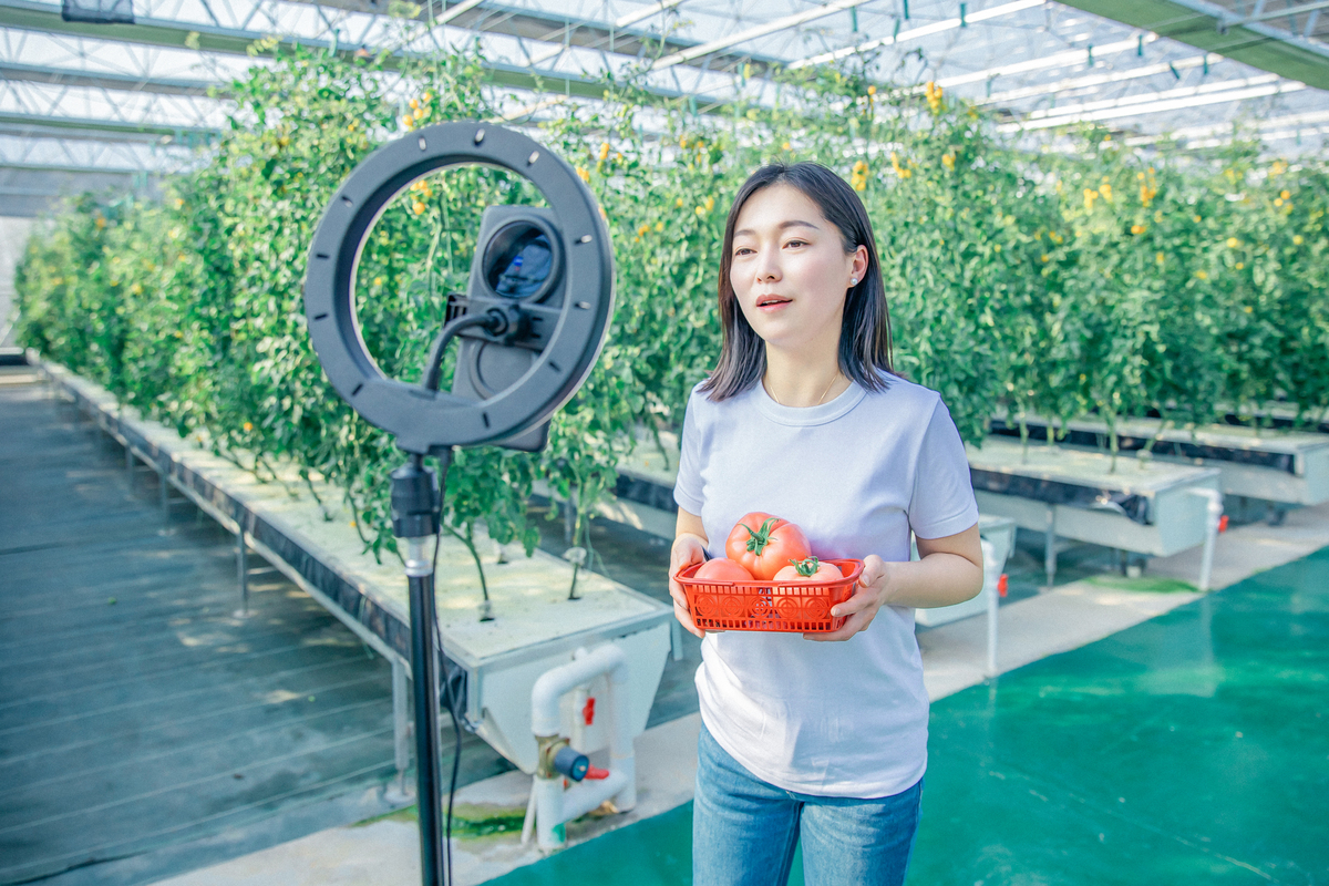 淘宝直播人气秘诀：如何打造爆款直播间？