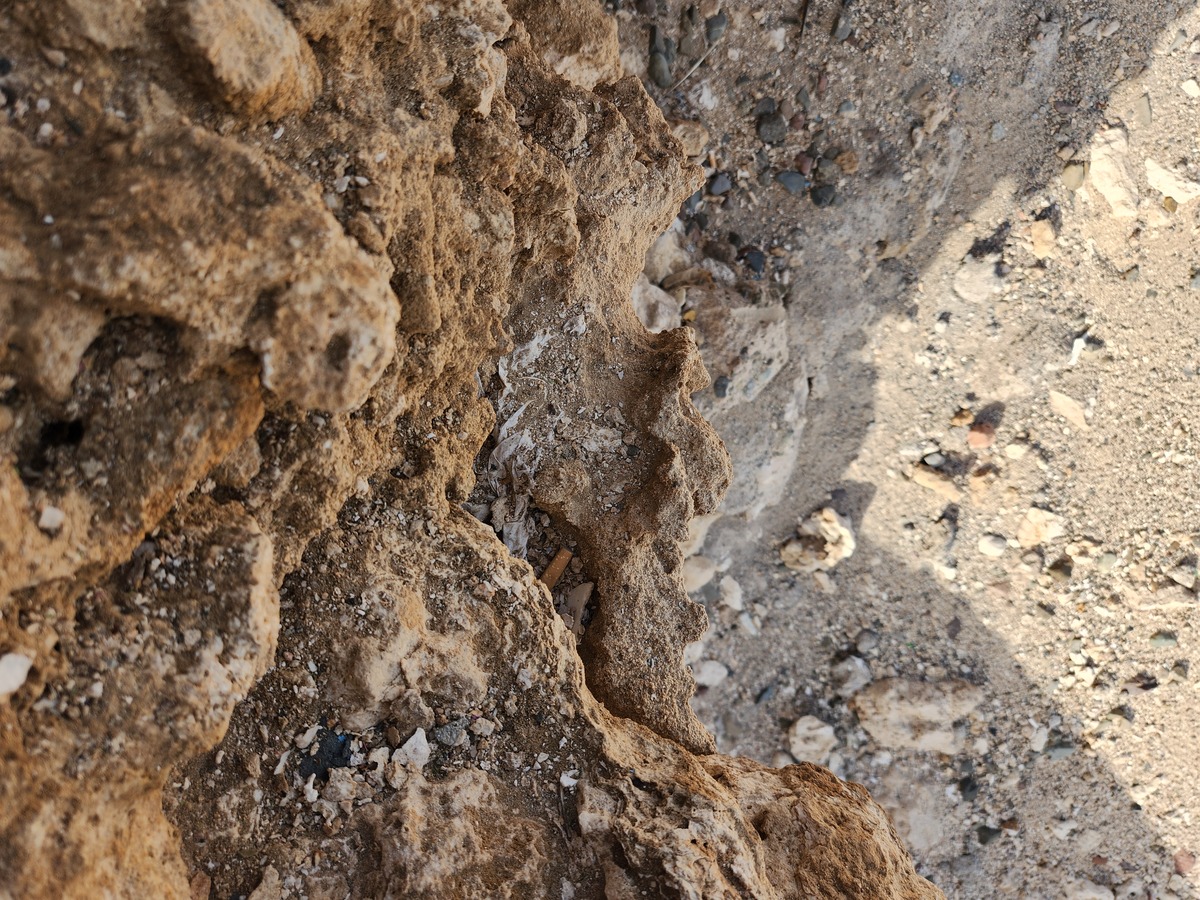 土壤中赤铁矿的形成过程