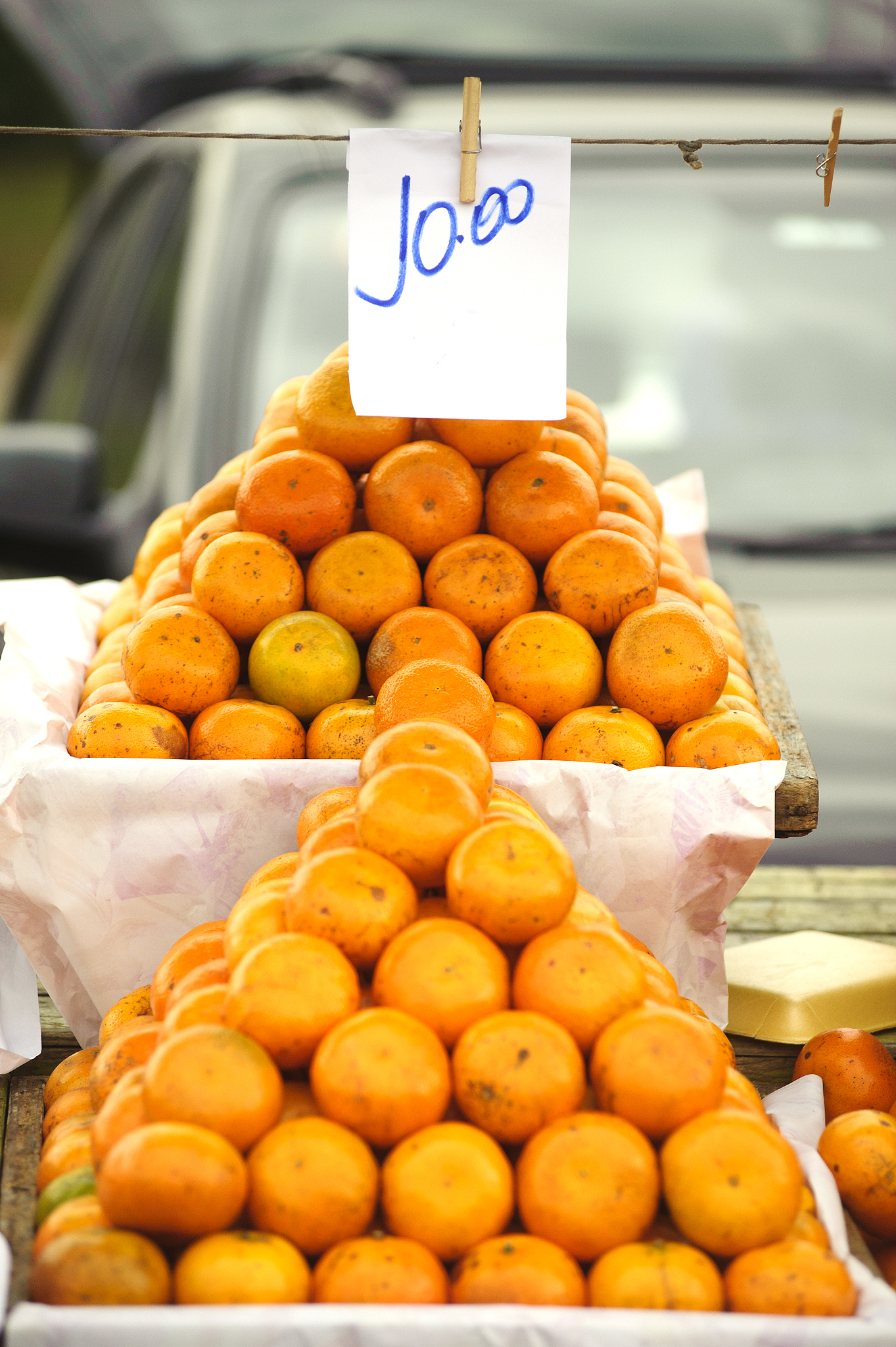 oranges in market