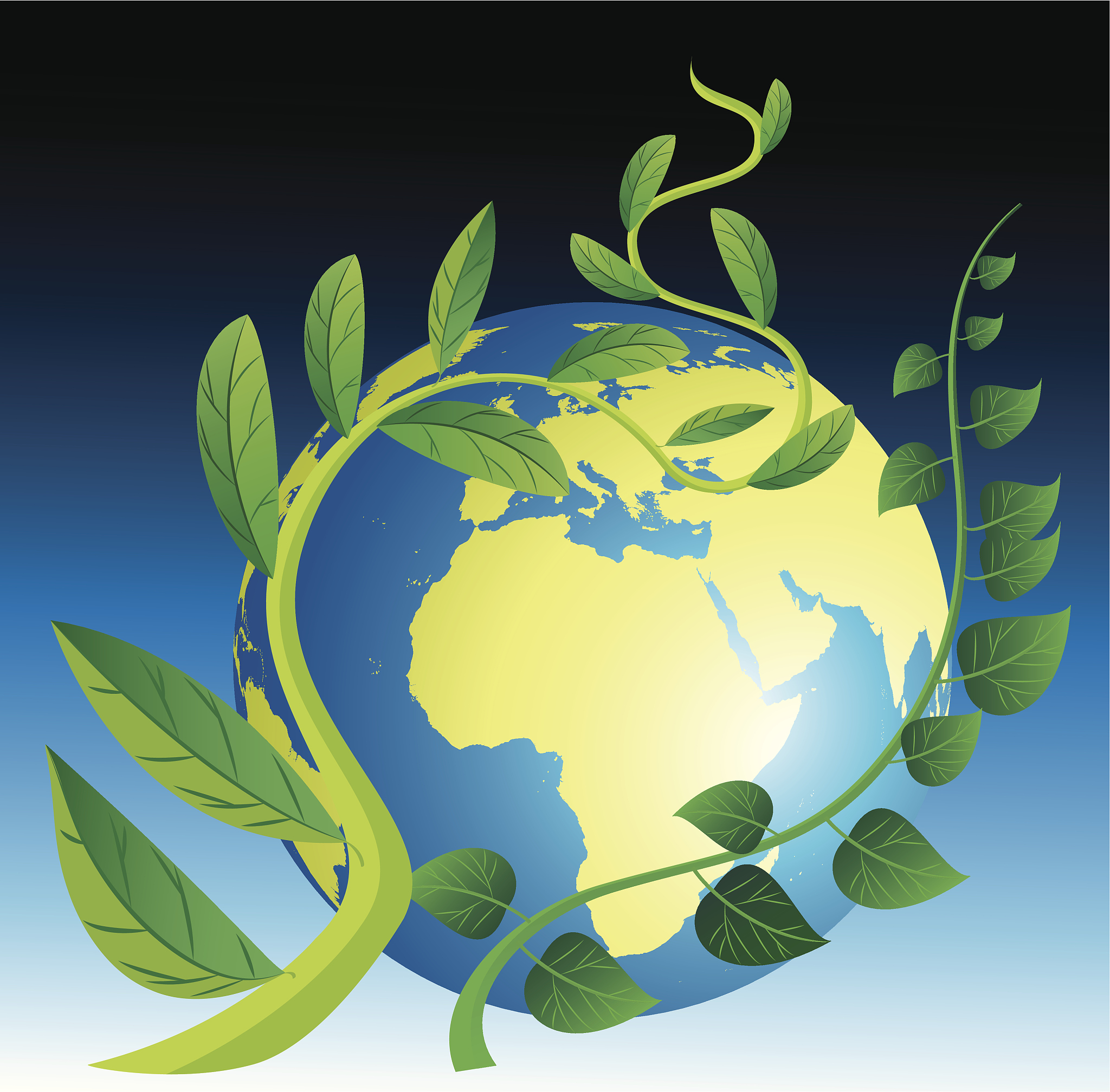 森林碳汇能力：解析与实例说明