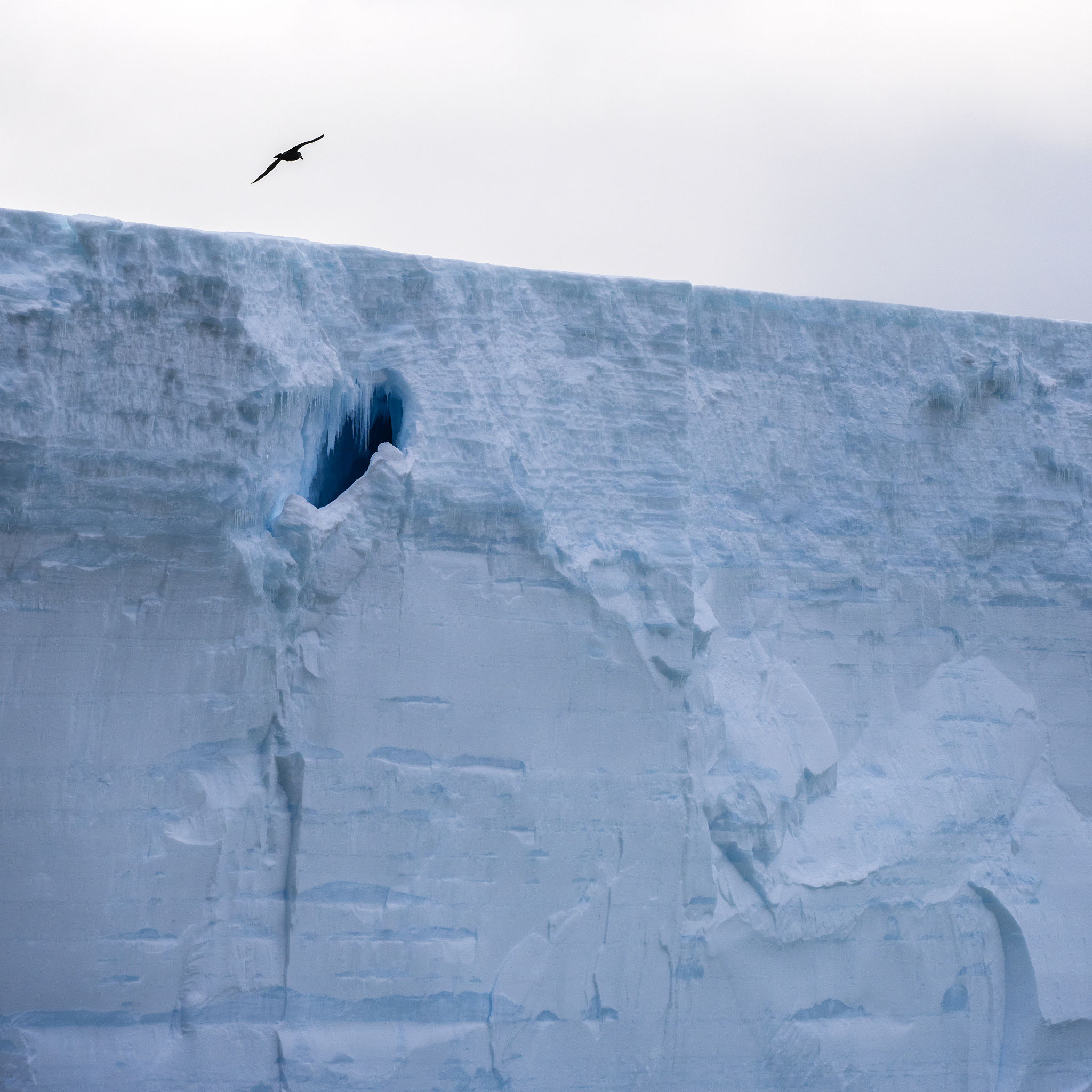 以第一人称写一篇探险的想象作文地点在冰川遇到了缺食雪崩等困难最后脱险的故事人物有我和一位与我一样的游客要写好细节语言动作神态心理等。请模仿海明威《乞力马扎罗的雪》的文风并加入大仲马狄更斯梁实秋沈从文福楼拜的文风一定要想象丰富合理！详细写如何脱险的