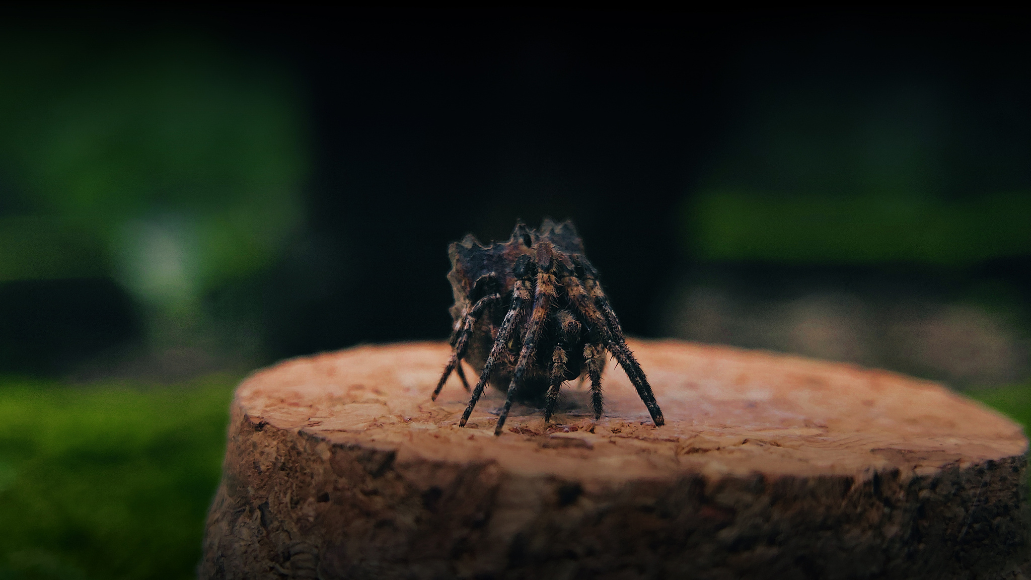 修仙小说中主角与各势力的冲突事件：13种常见类型