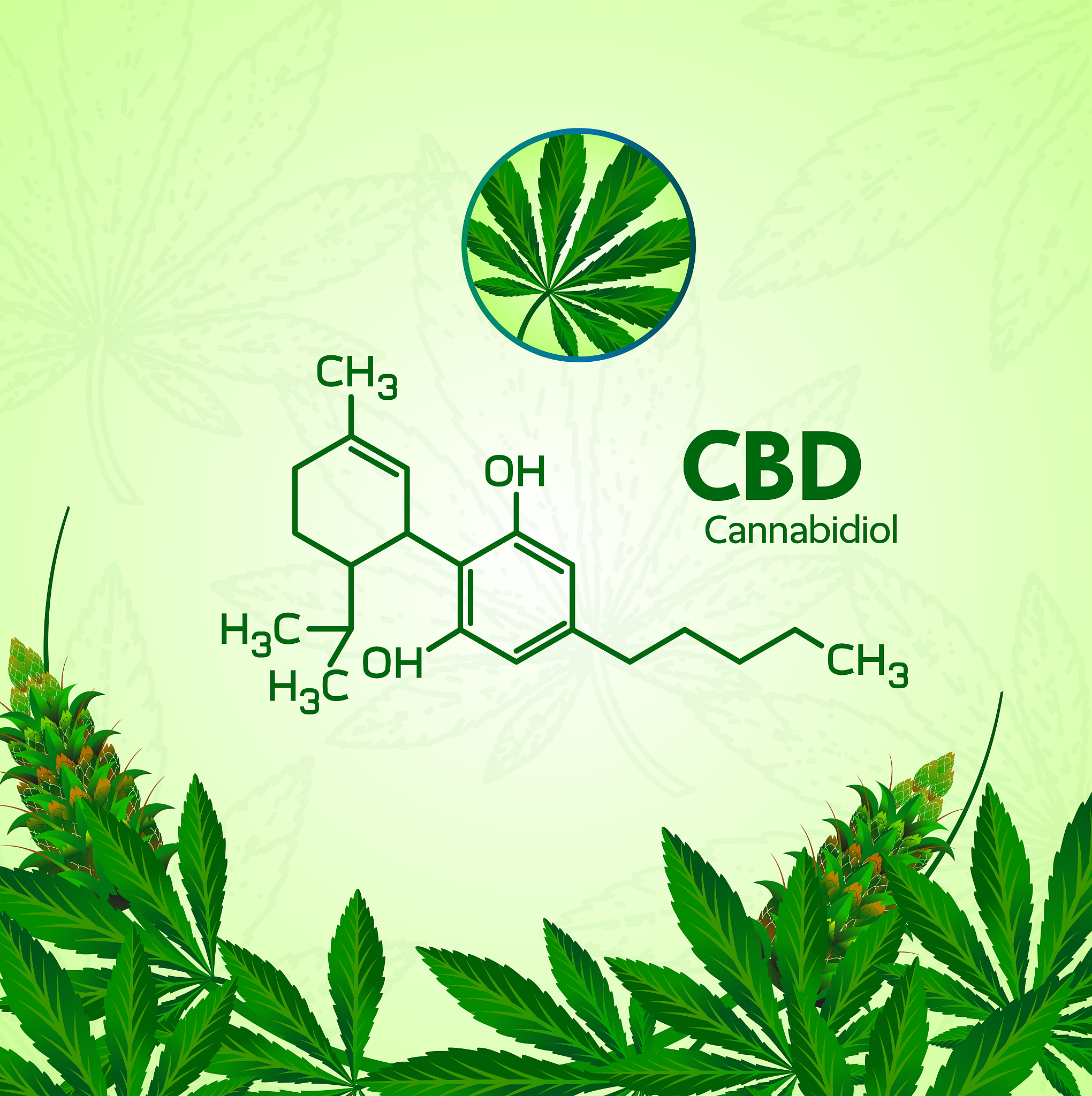 植物化学保护：一种安全高效的植物保护方法