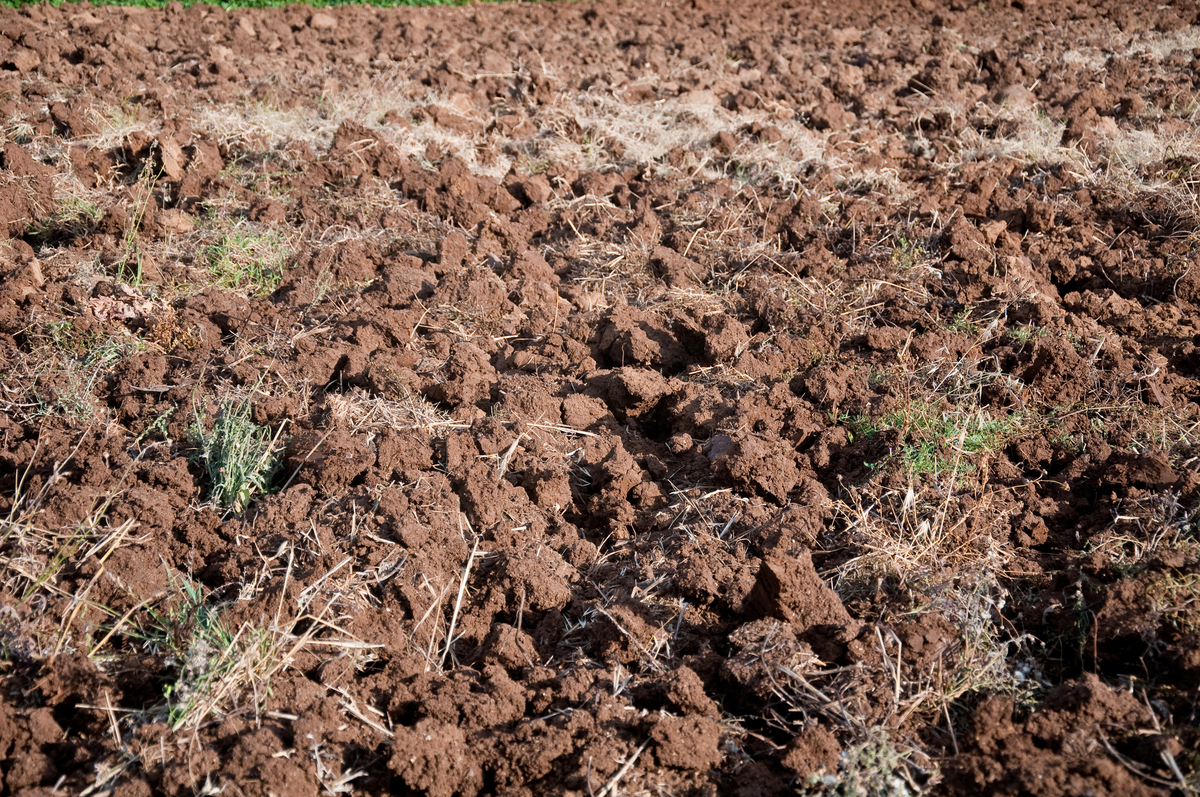 农田土壤翻动：改善土壤、提高产量