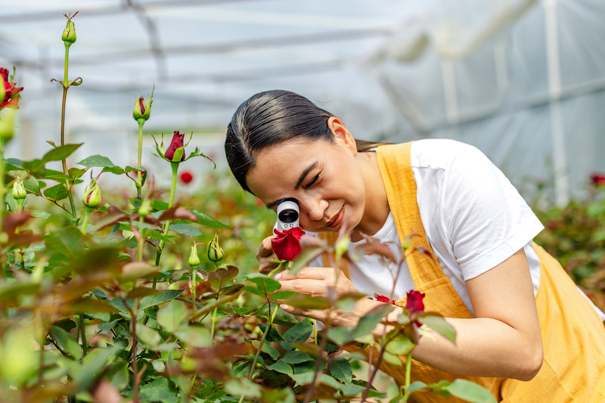 2020年贵州卫校在哪儿