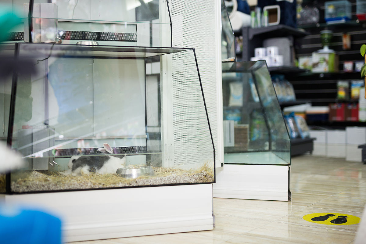 帮忙写一个宠物店管理系统