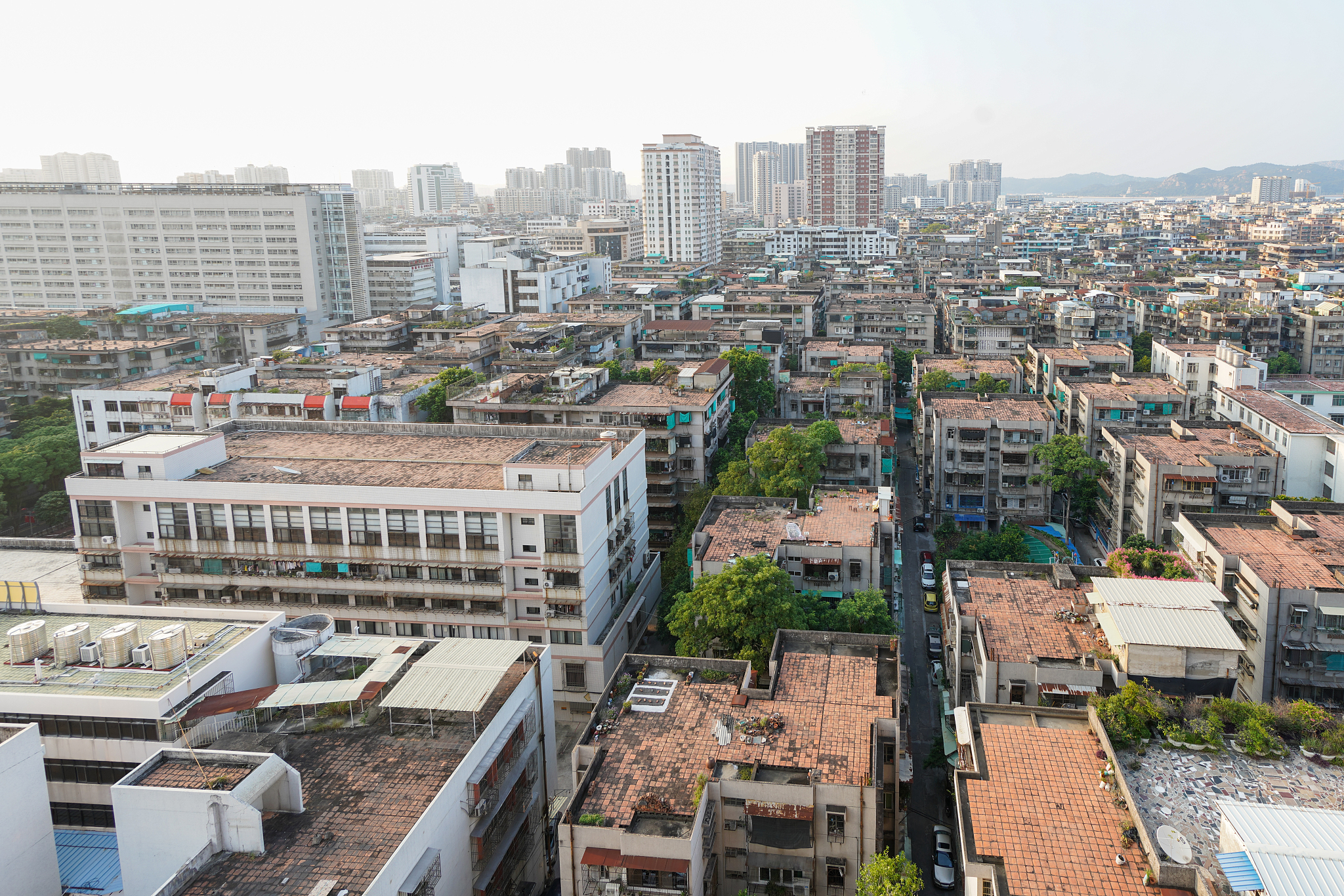 广东省番禺区金龙路桥山村竹园中街1号这遍村庄会拆迁吗帮我用200字详细描述