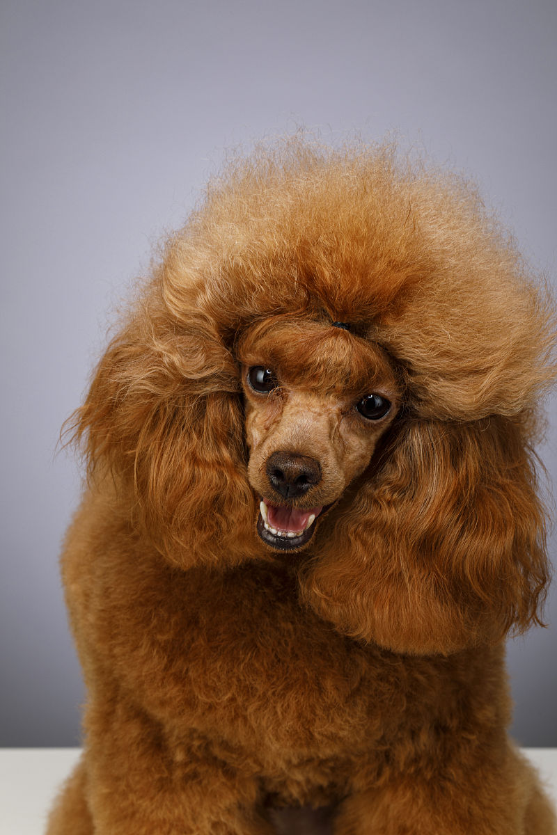 请对硕士论文《子洲县F公司黄芪产品市场营销策略优化研究》的123文献评述 进行写作其文献和文献之间要体现出逻辑关系不要乱写：