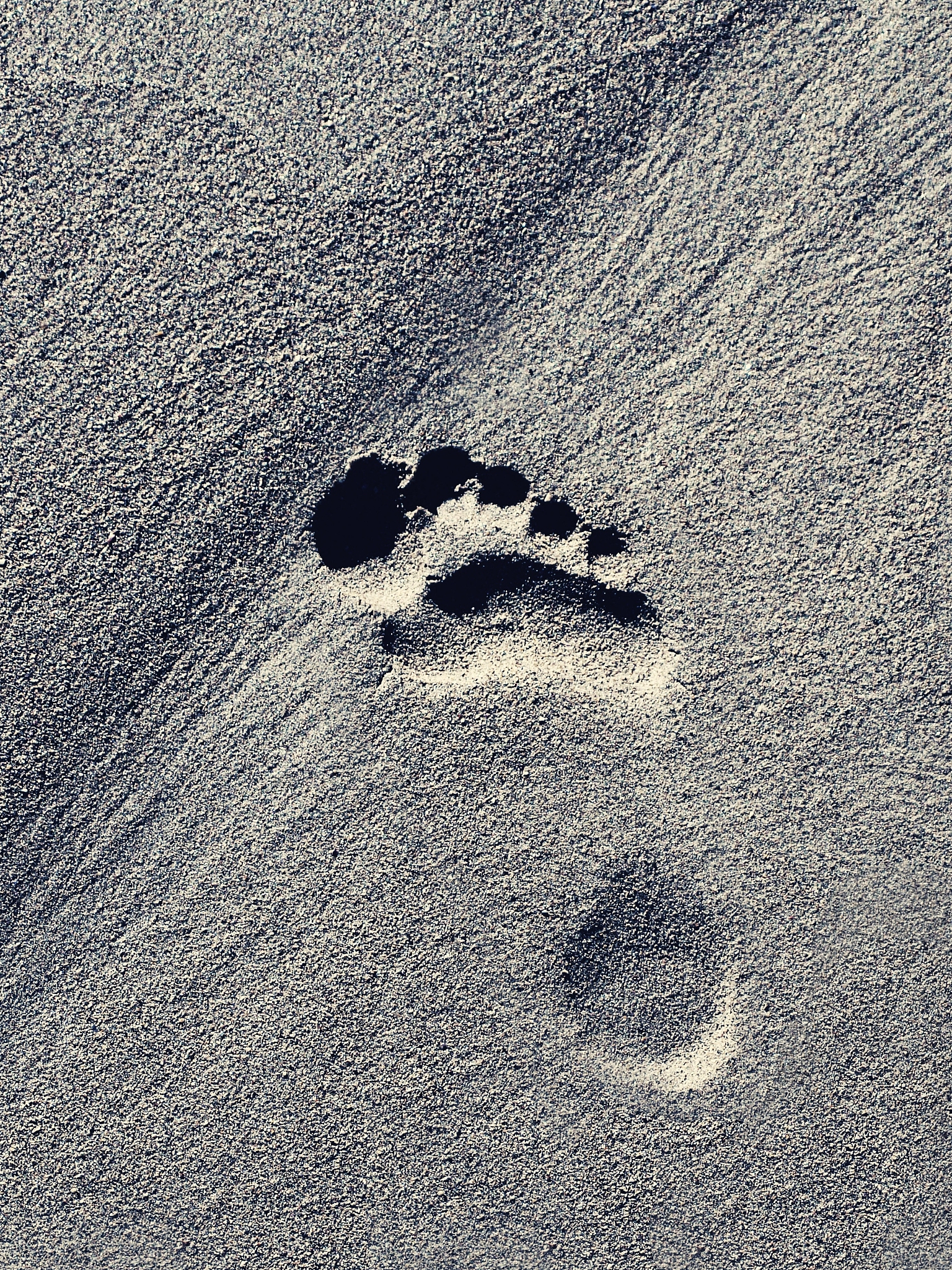 稳定扩散模型：生成复杂图像的局限性