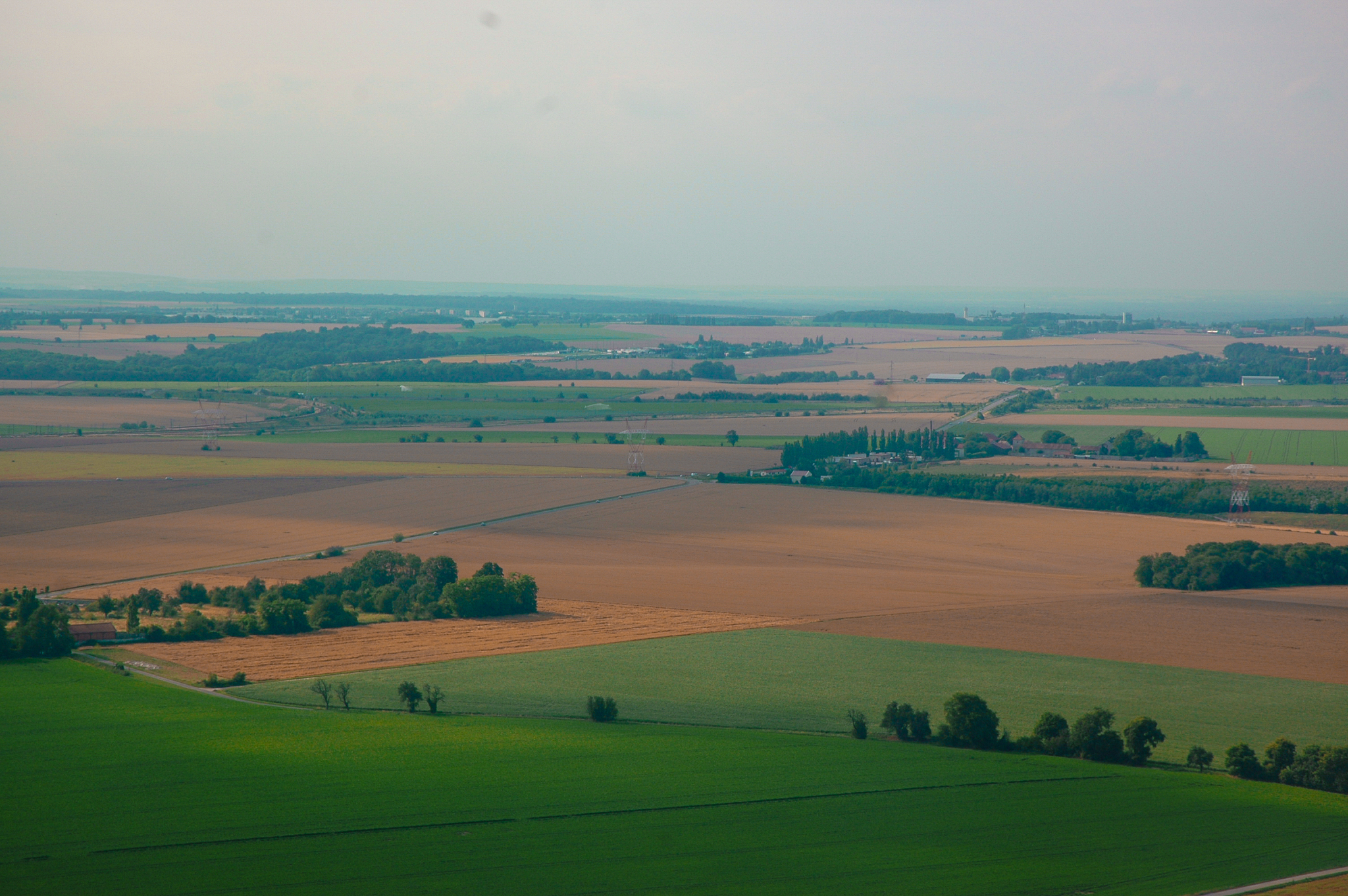scenic view of agricultural landscape against sky