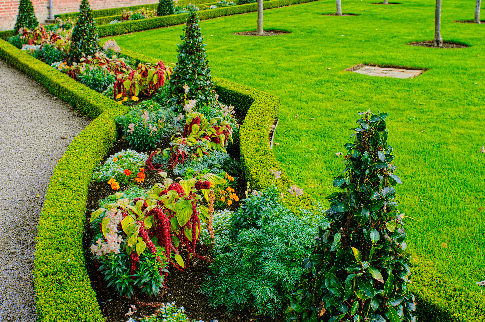 地域性韧性植物景观案例：纽约高线公园、阿拉伯沙漠花园等