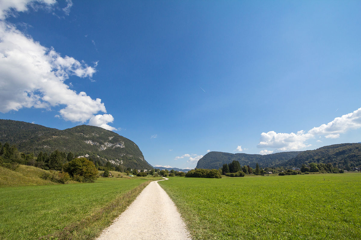 山地租赁合同范本：详细条款及注意事项