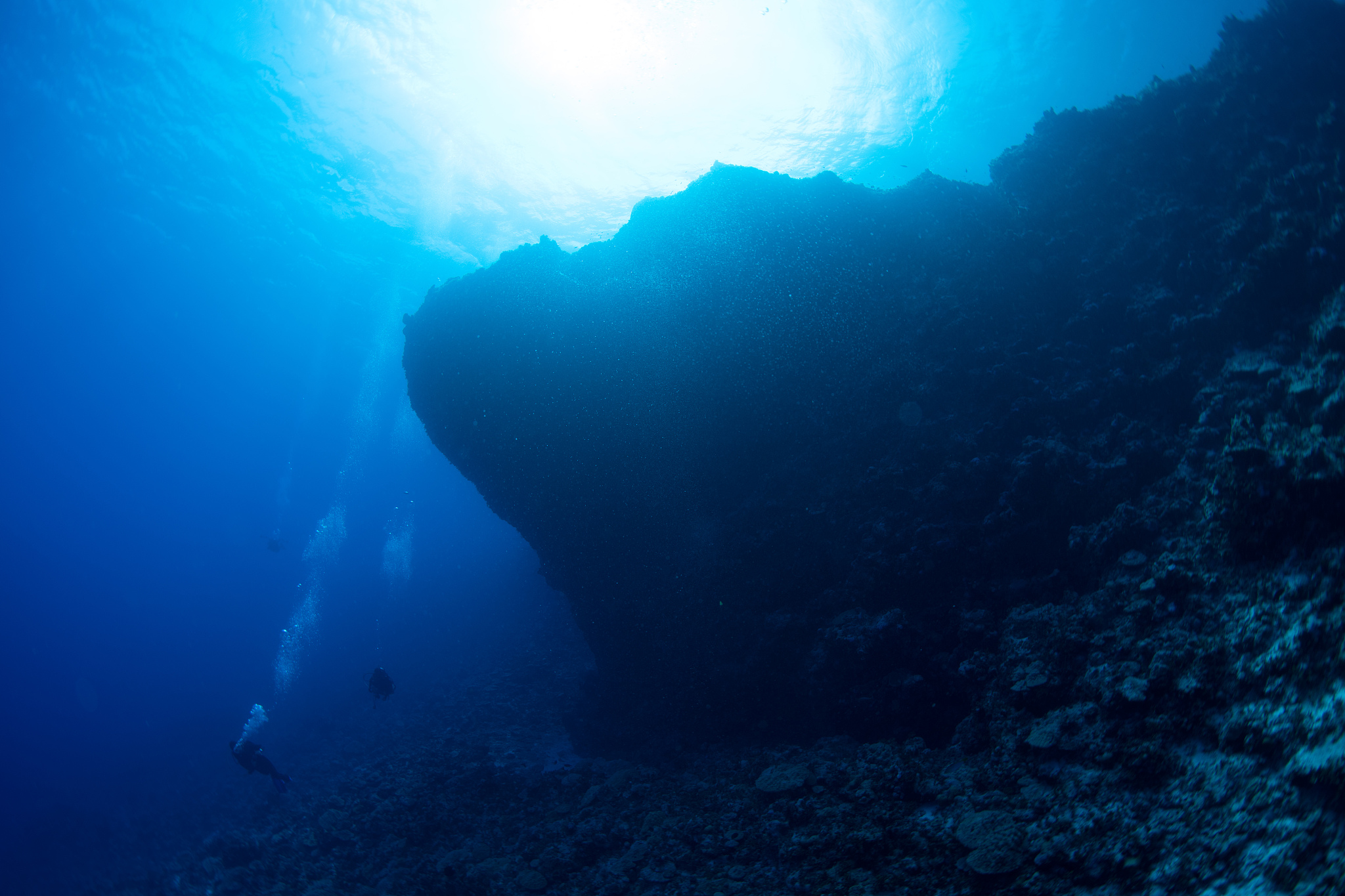 view of person swimming in sea