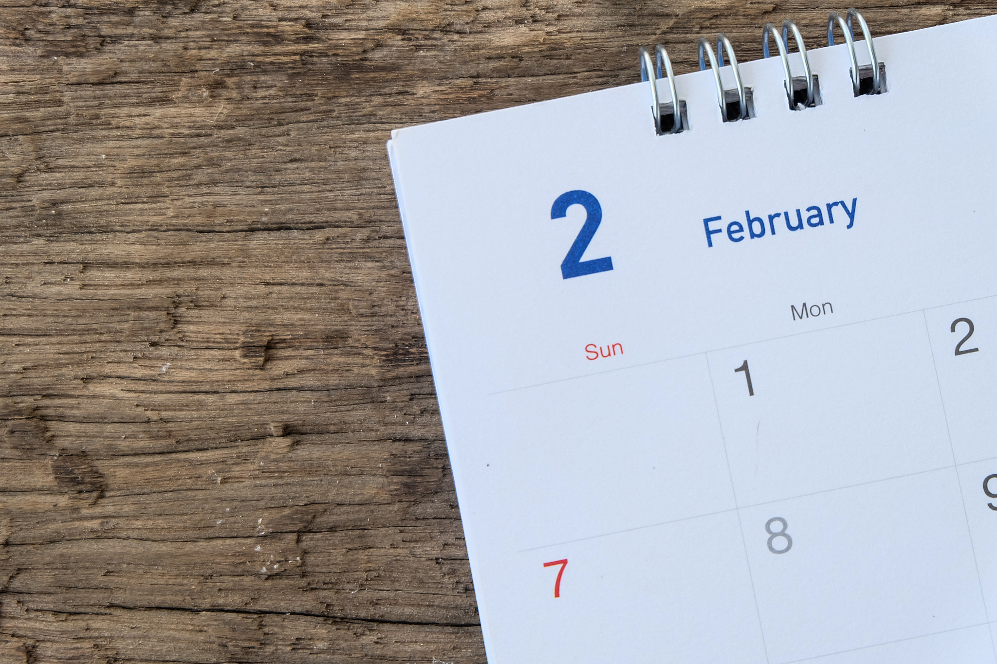 template div class=countdown div class=input-container label for=time-input倒计时时间分钟：label input type=number id=time-input v-model=time min=1 max=1440 div div class=button-container