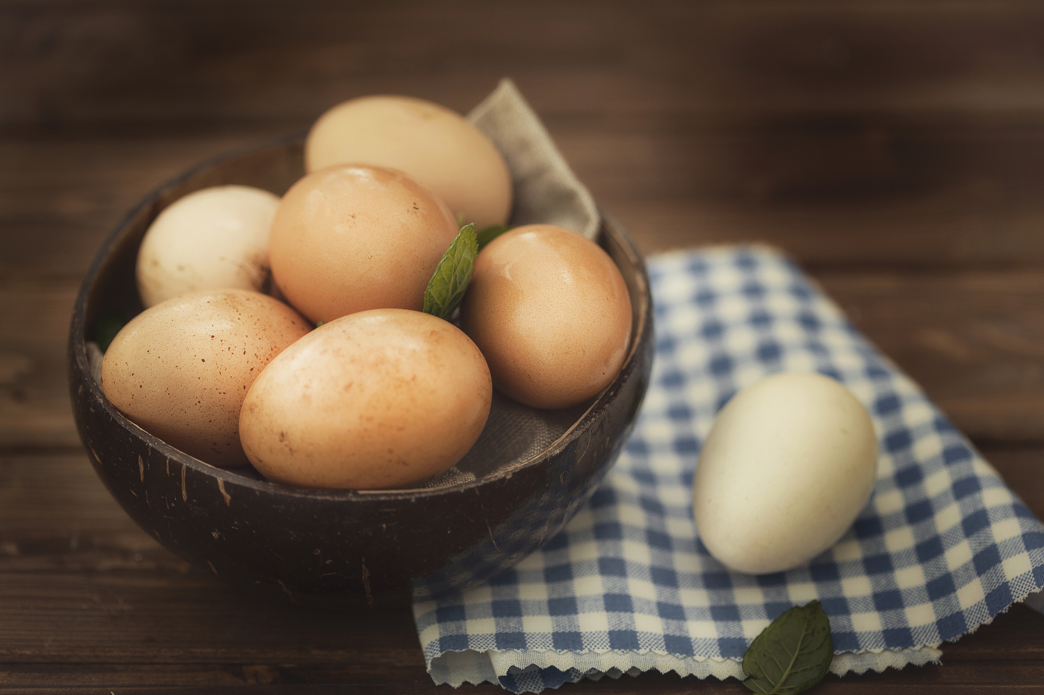 fresh eggs