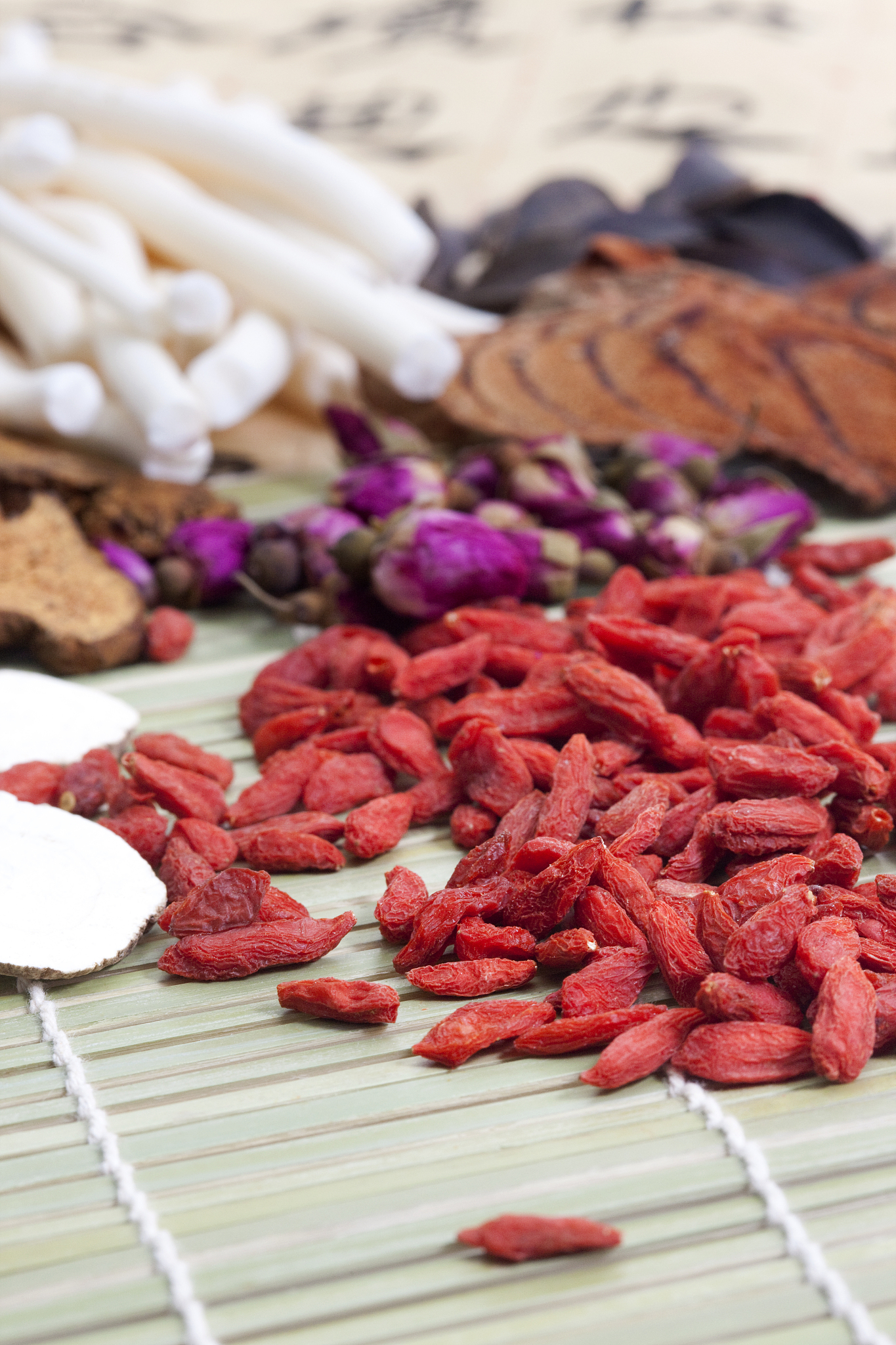 浙江中医药大学针灸推拿学专业培养目标_就业率如何？