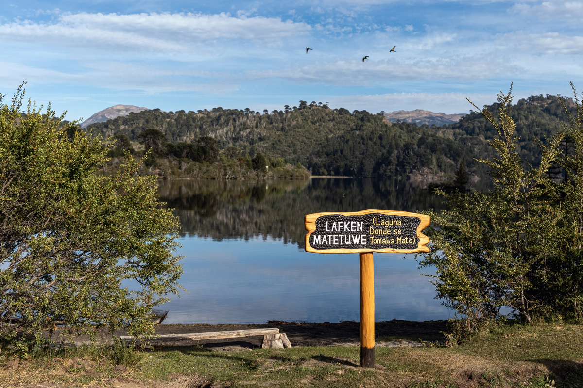 Top 10 Things to Do in the USA: Your Ultimate Travel Guide