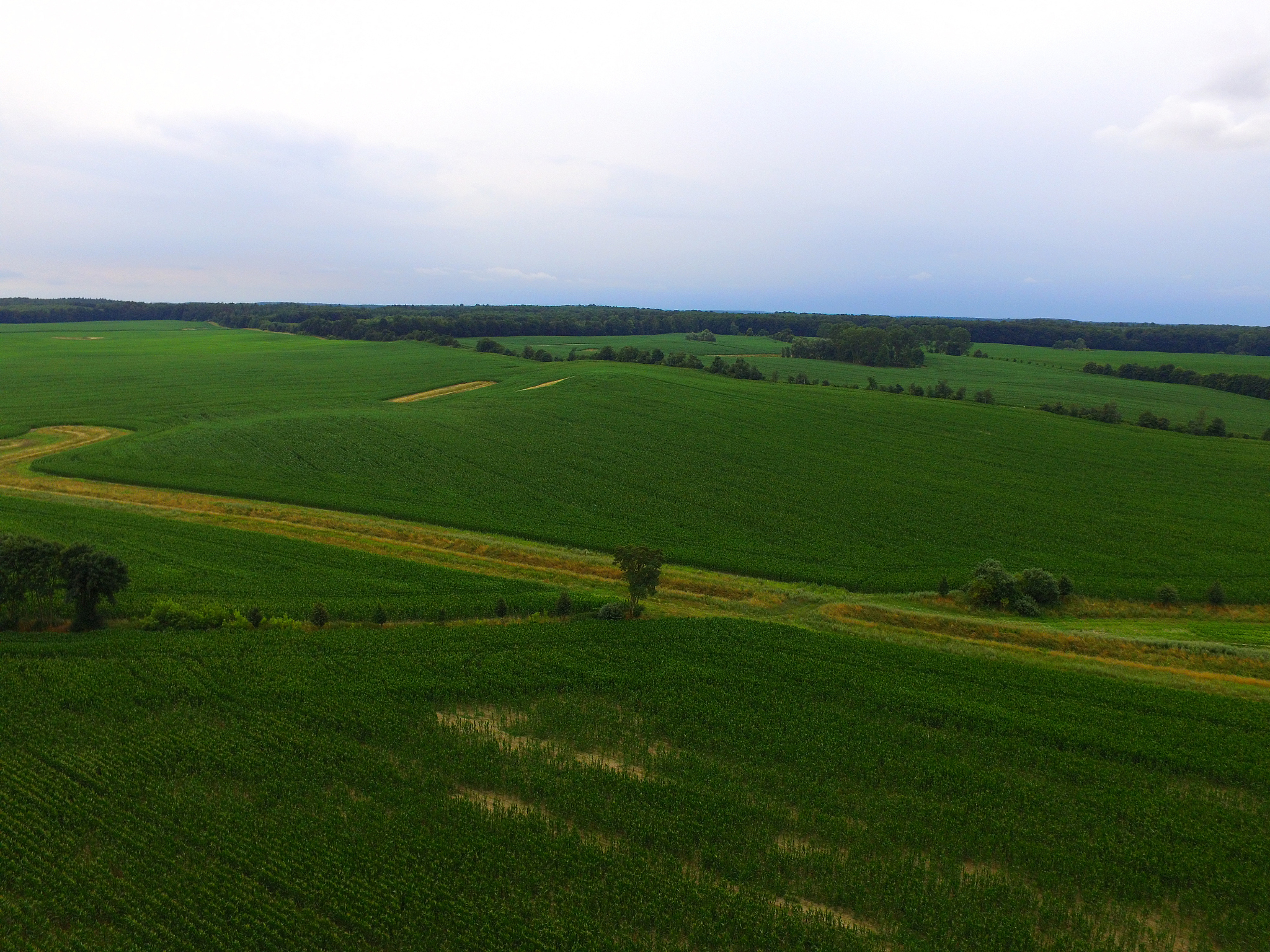 aerial view  of green agricultural fields  in germany