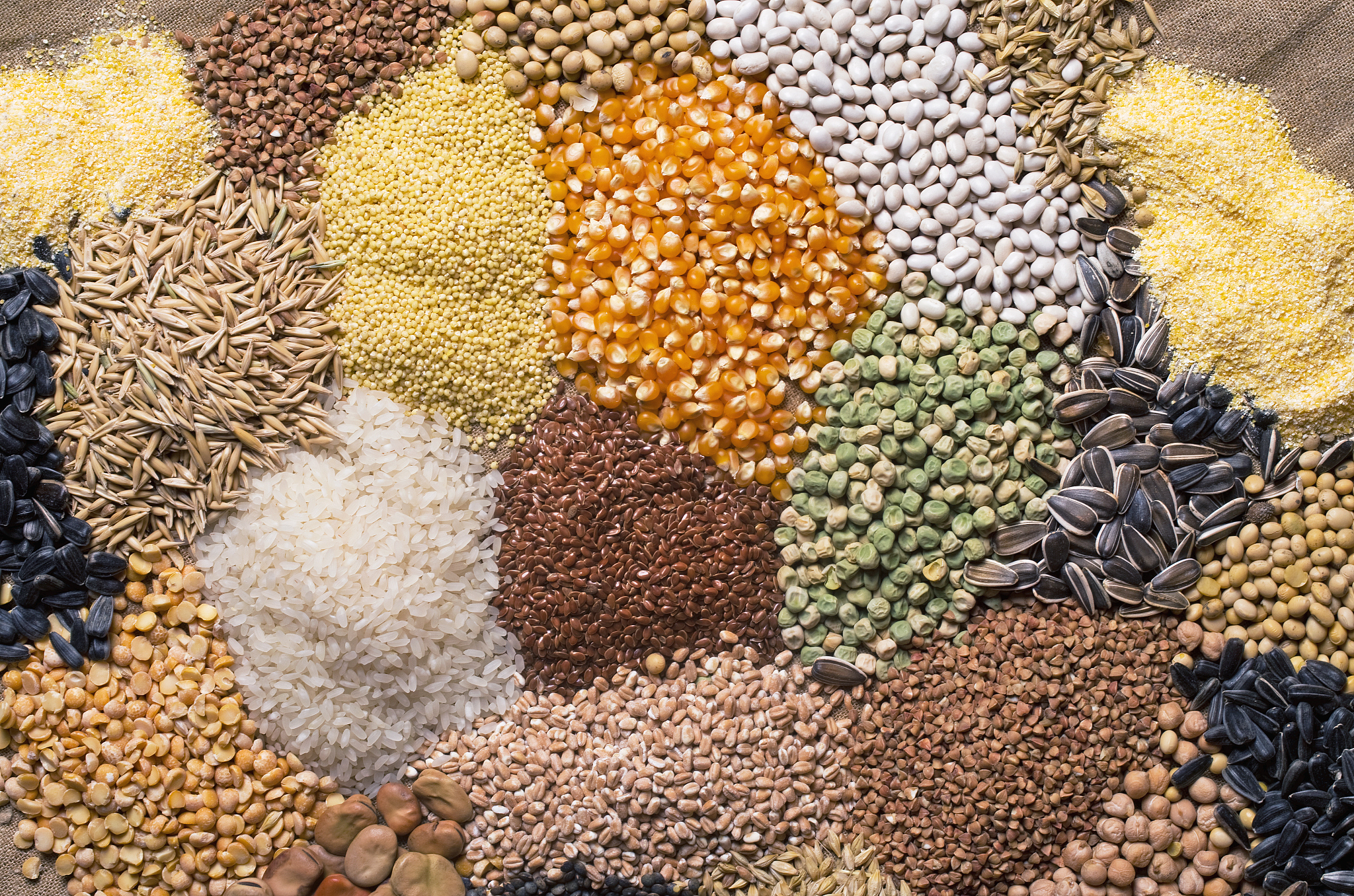 cereal grains , seeds, beans