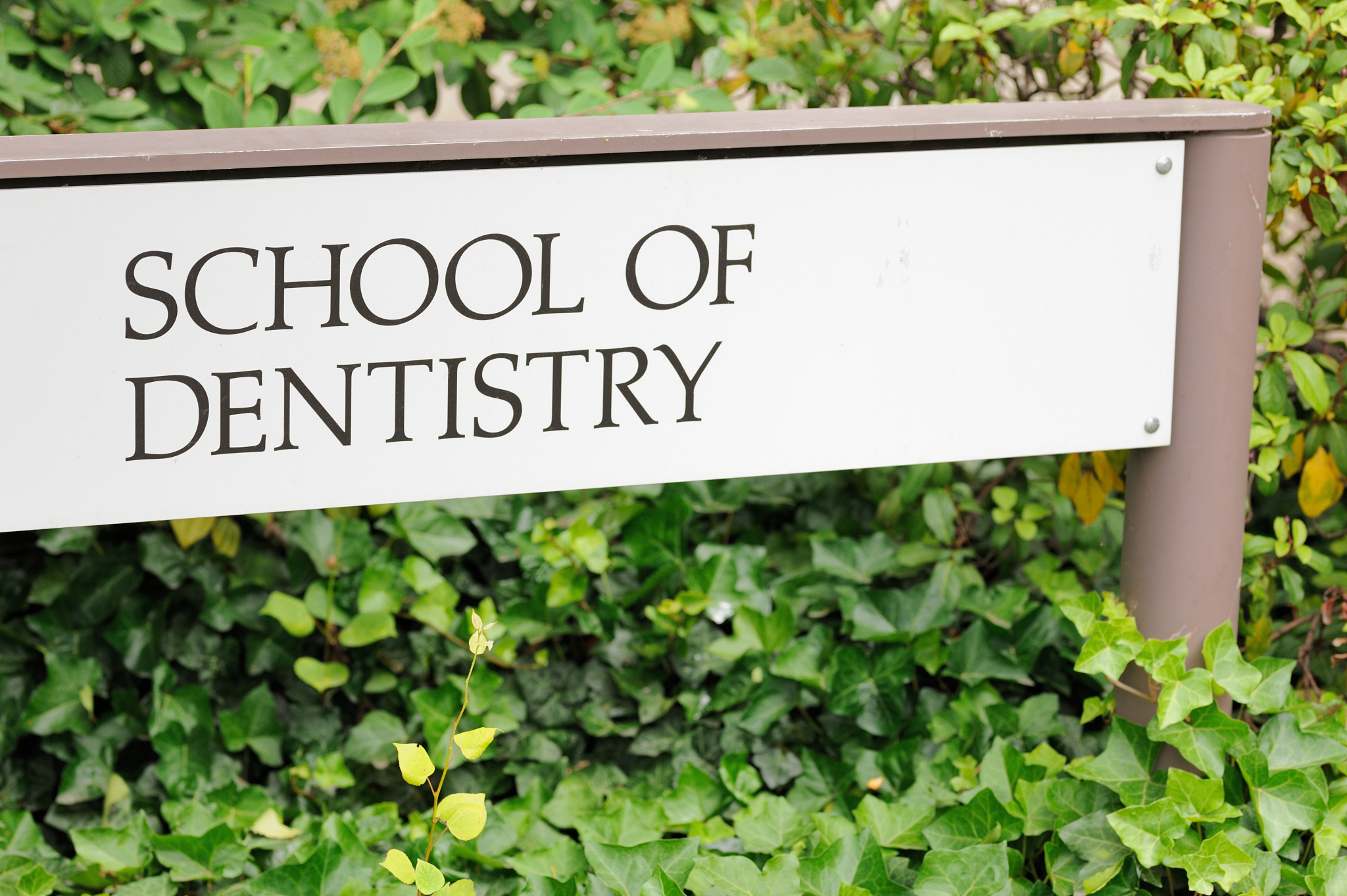 陕西口腔专业学校招生：院校推荐及发展趋势