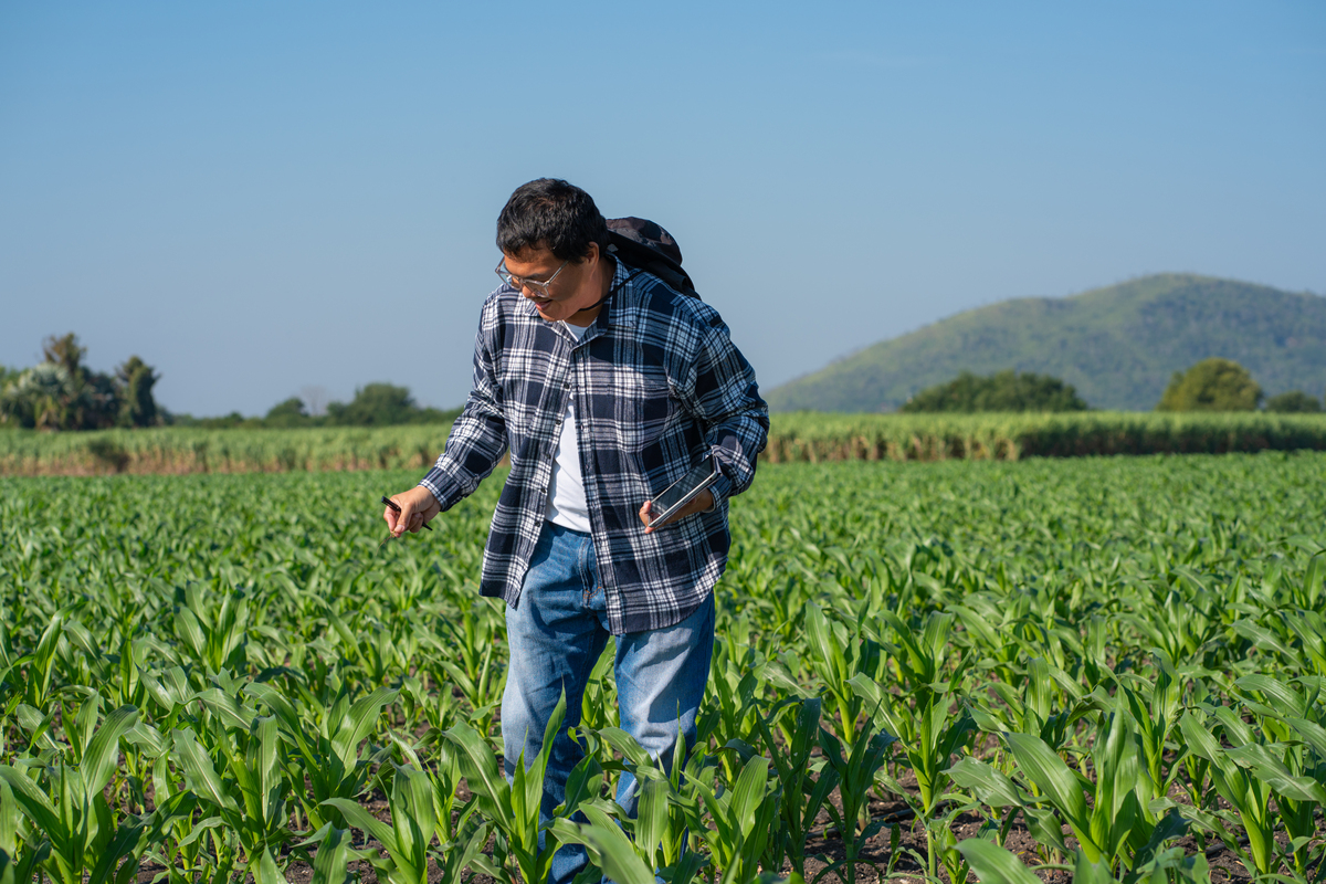 贵州作物生产技术专业学什么？学习内容及发展方向解析