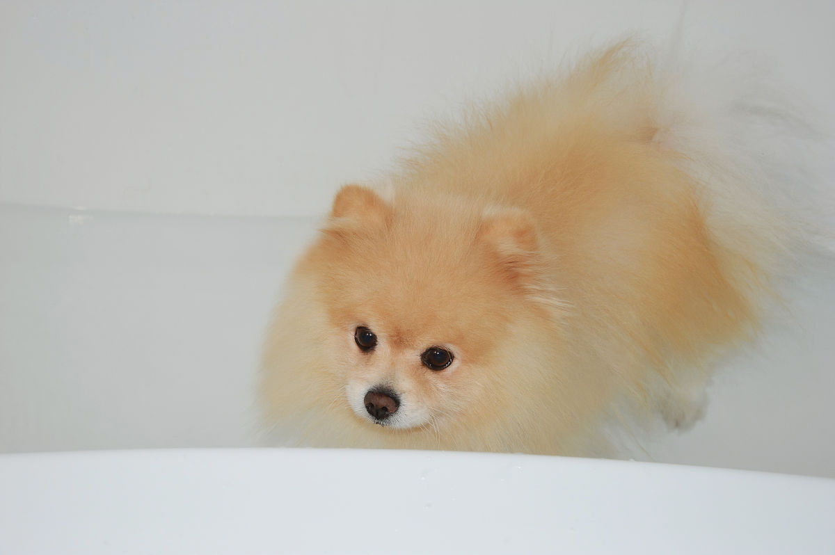 江西外语外贸职业学院应用德语专业怎么样都要学些什么