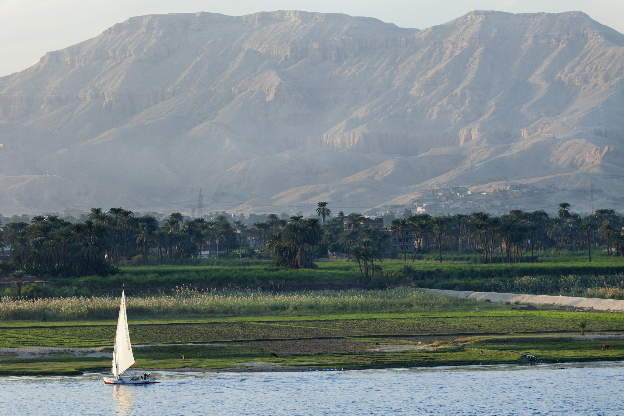 traditional felucca on the nile river