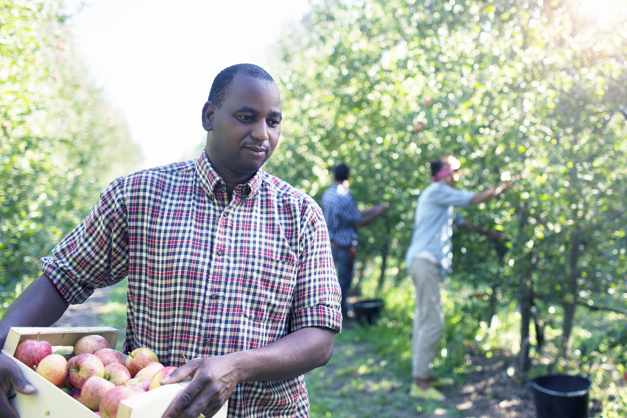 绍兴园艺学校2023年招生简章 - 培养你的园艺梦想