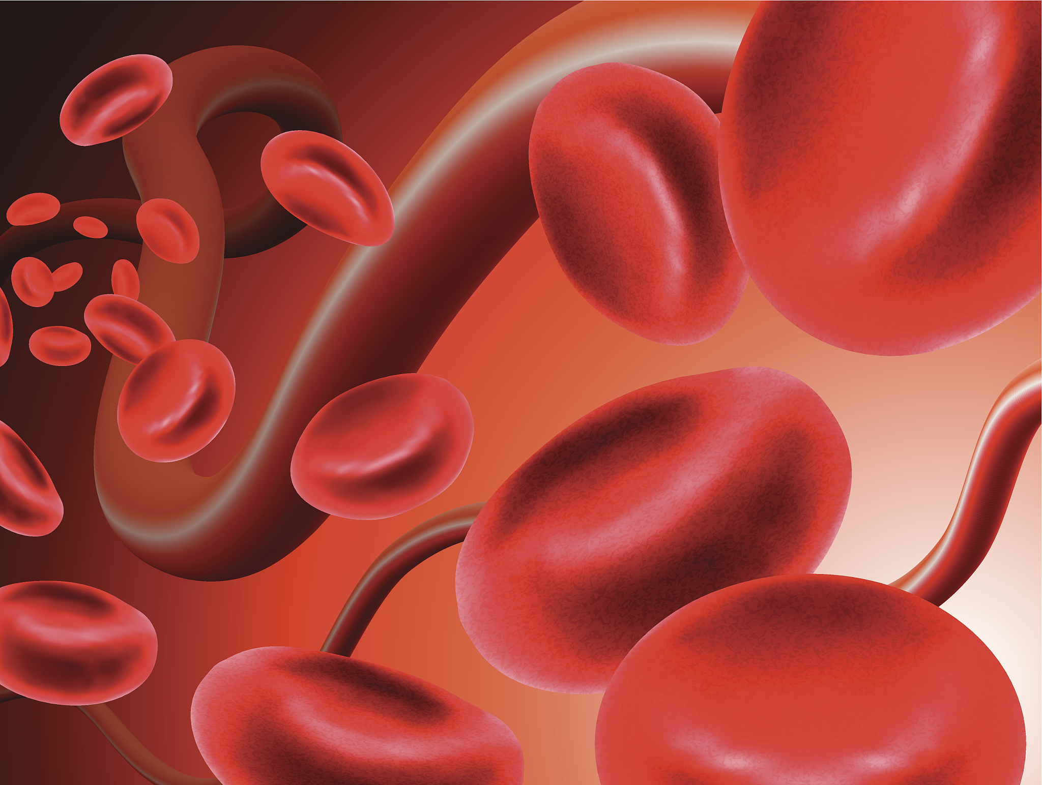 0+和0-血型：Rh因子的区别及重要性