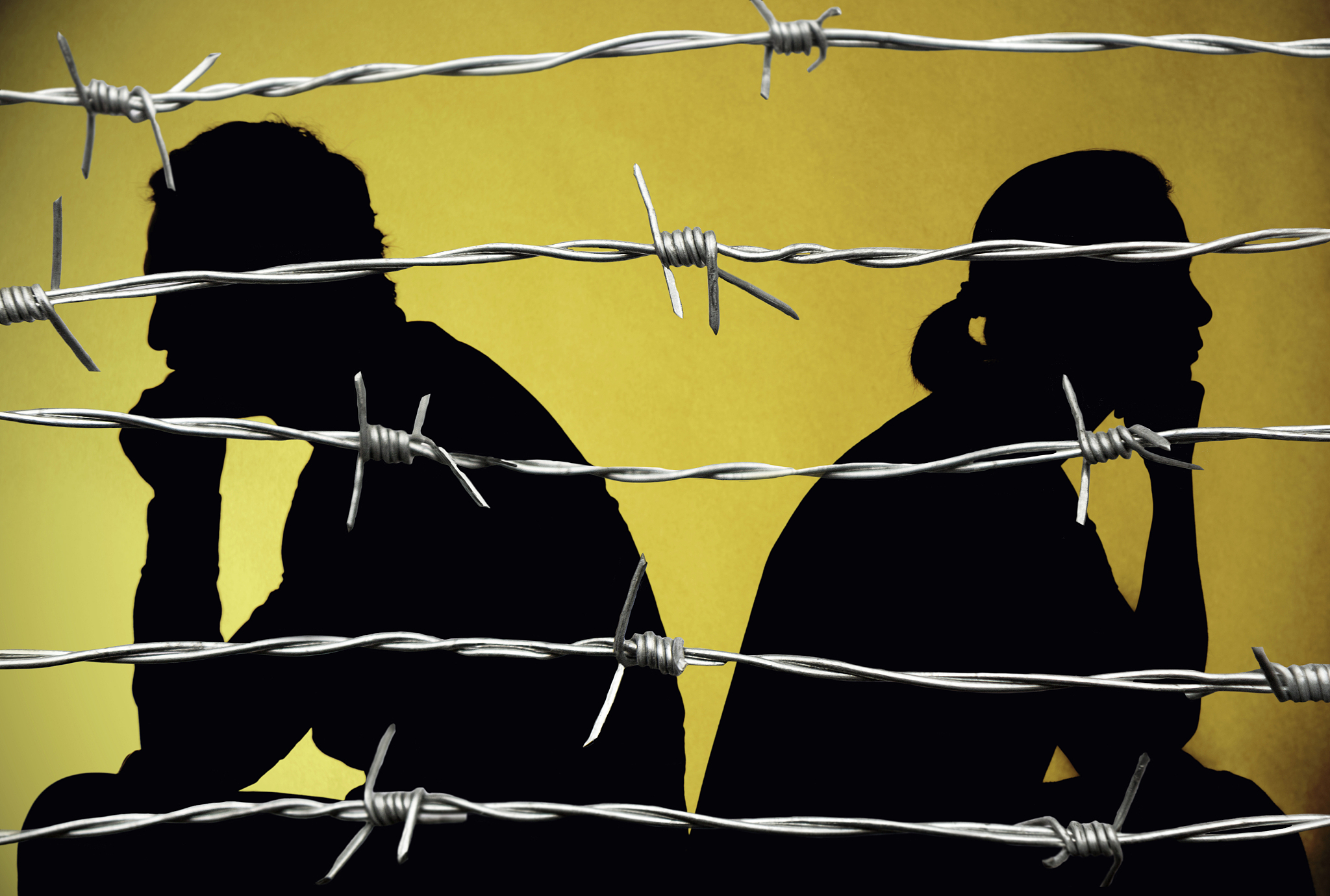 感情在现实面前不堪一击？谈谈感情的韧性与成长