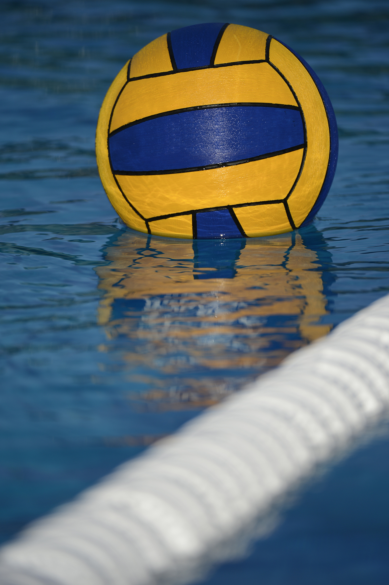 water polo ball