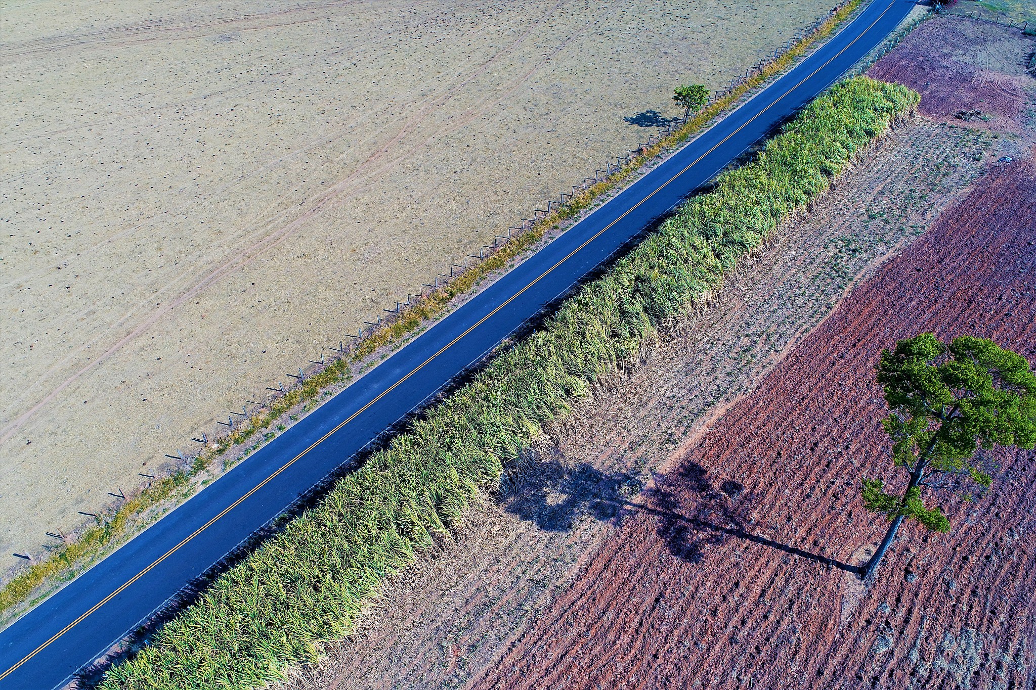 我想做一个关于对抗比赛的小程序能给我取5个字的名字吗？要100个