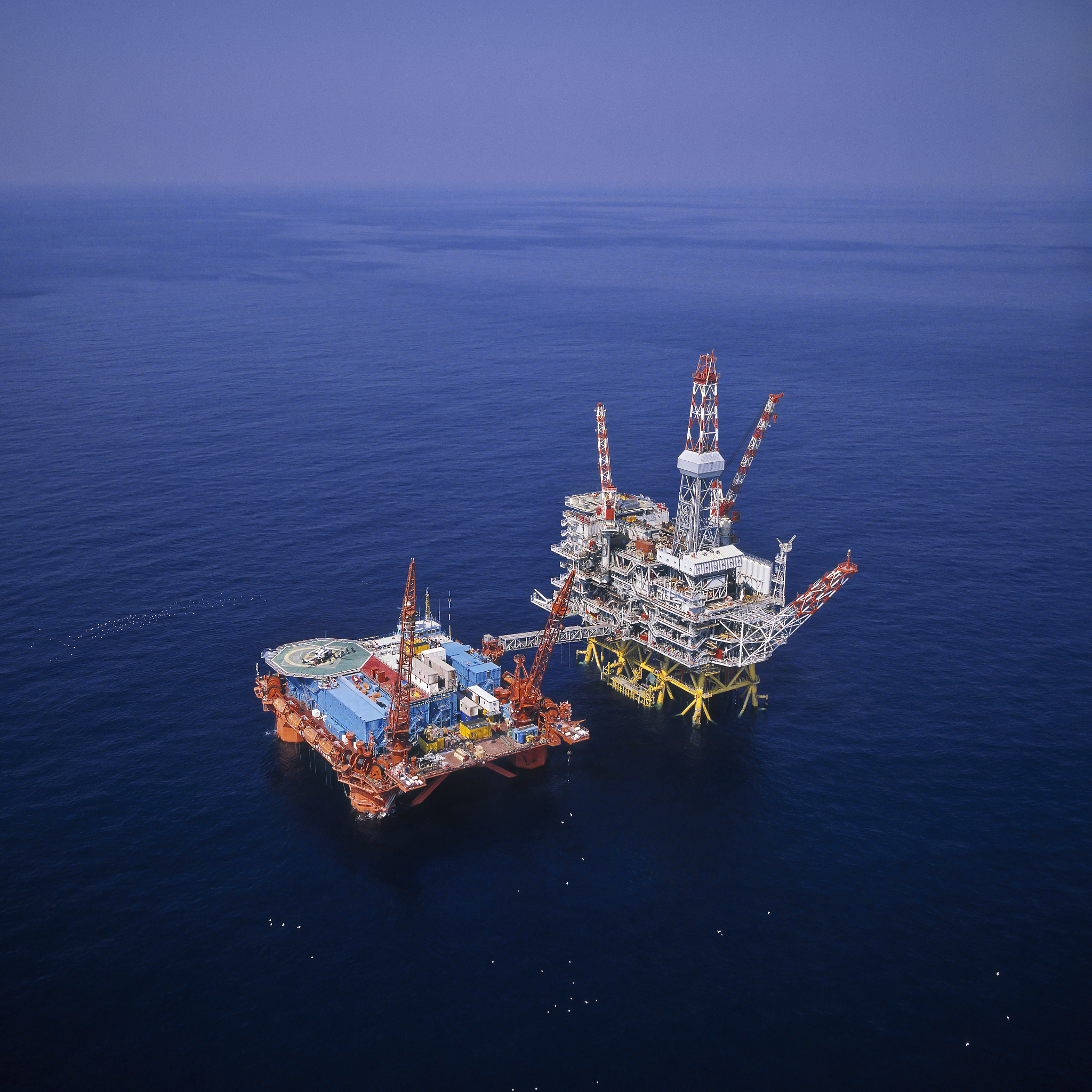 海洋石油工程青岛有限公司在行业内或目标市场中的竞争地位、规模和发展情况竞争对手的类型和数量