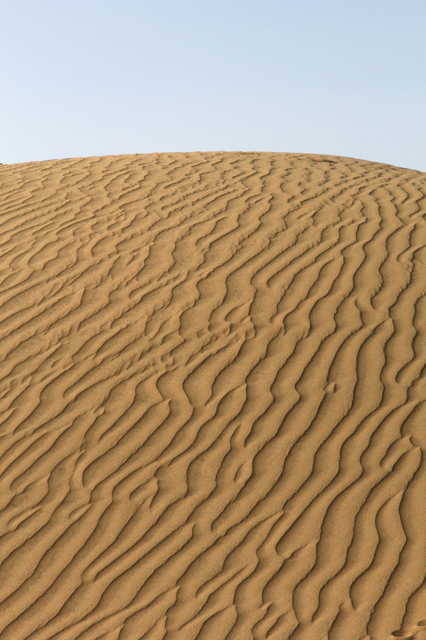 dune in maspalomas