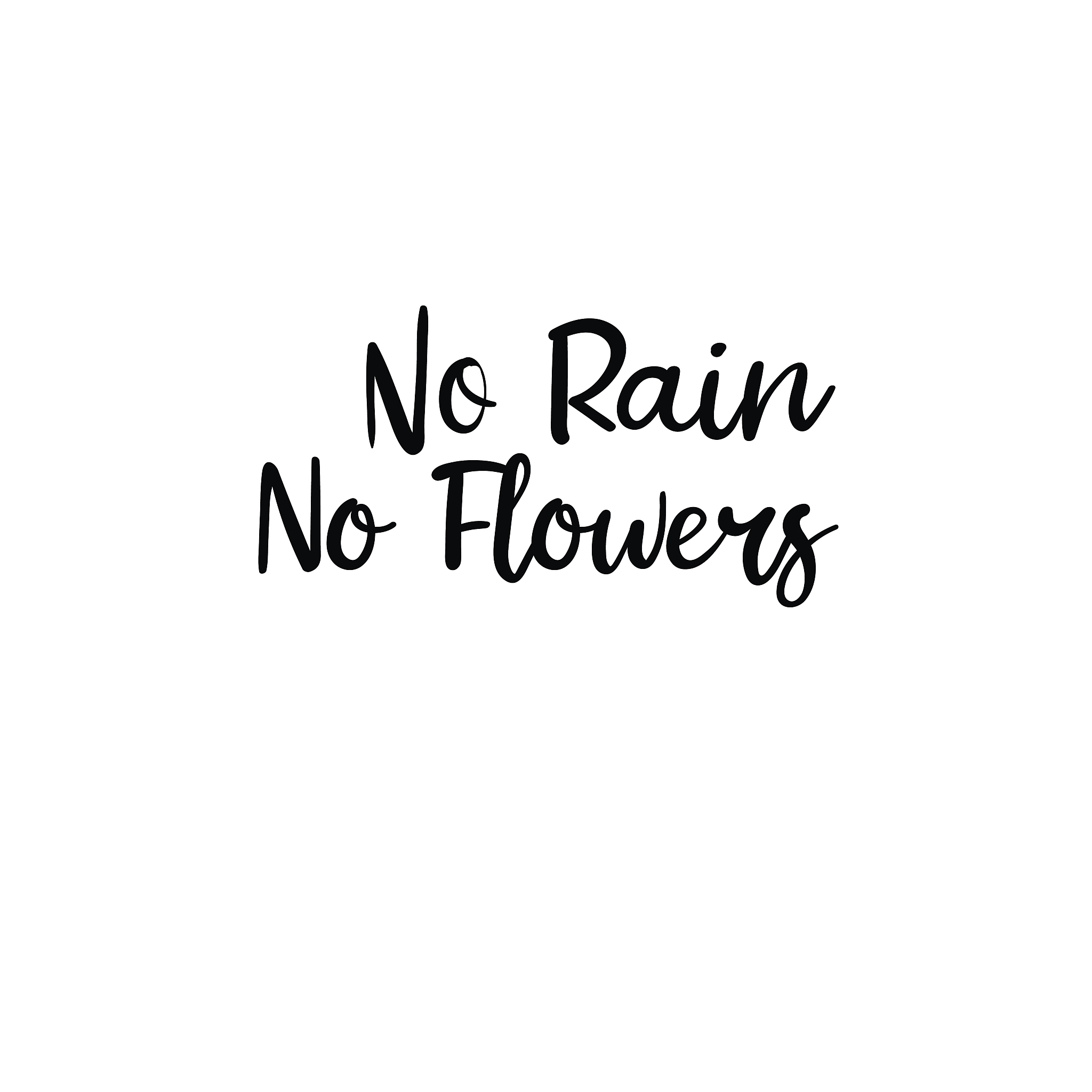 no rain no flowers. modern calligraphy. handwritten card