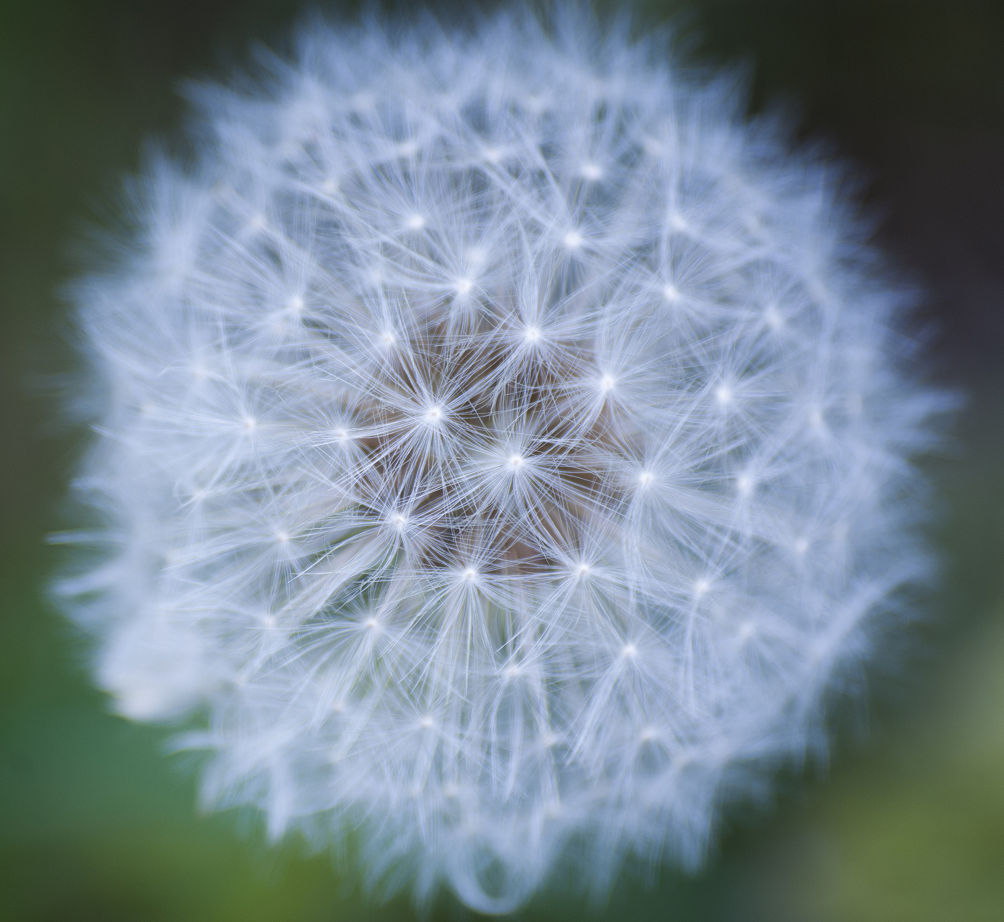 西安职业技术学院园艺技术专业就业方向：花卉、园林、农业等领域